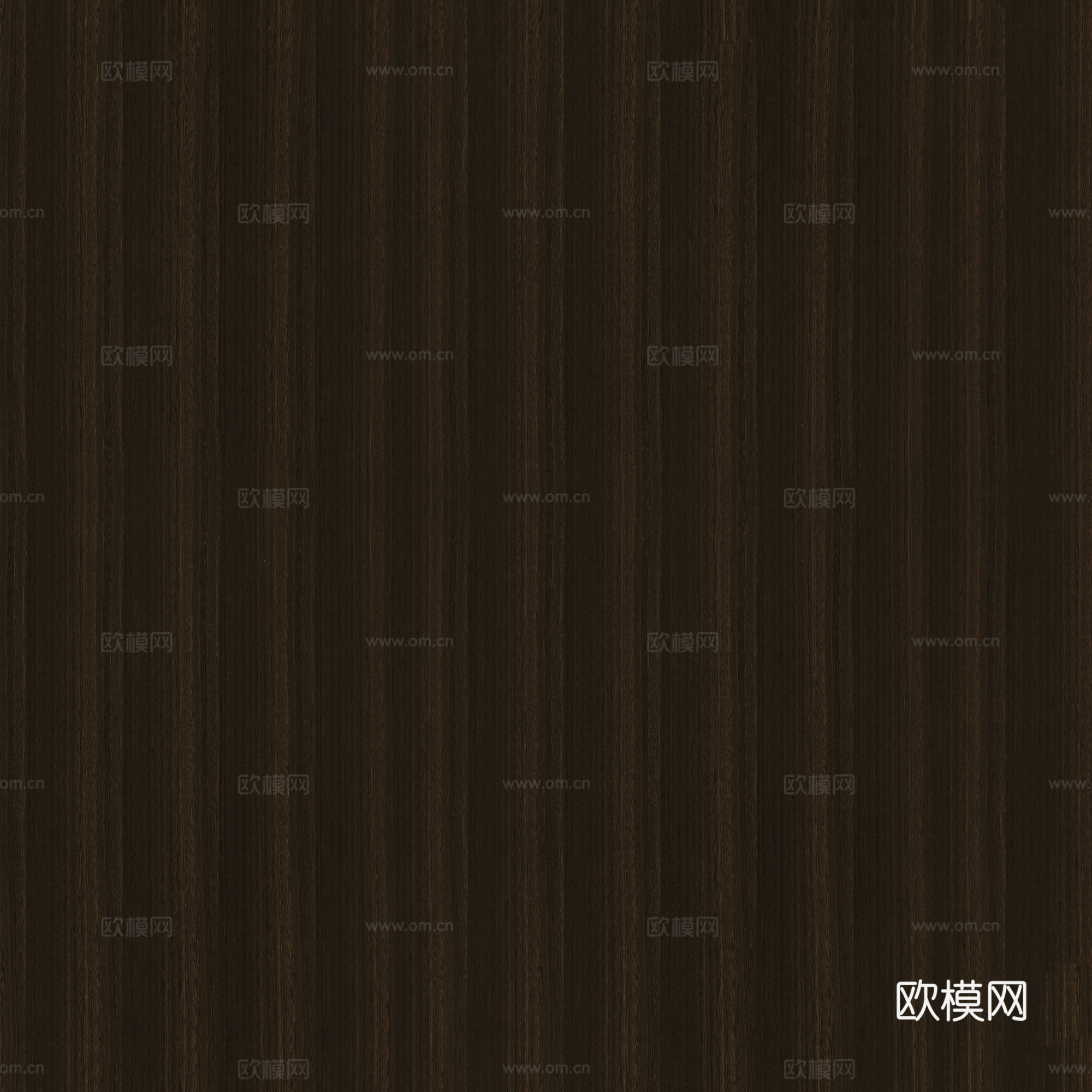 尤加利