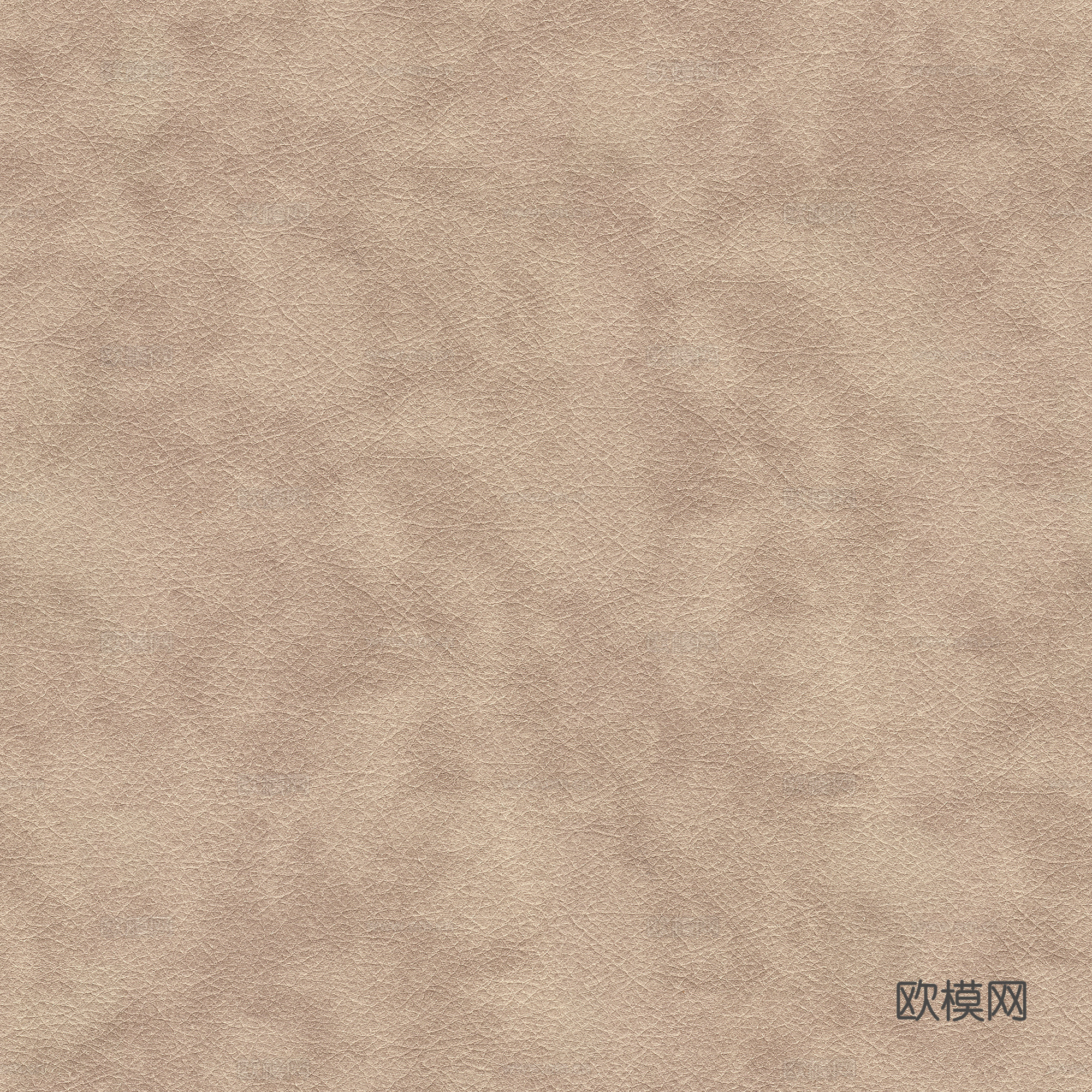 现代皮革 真皮 粗纹皮革