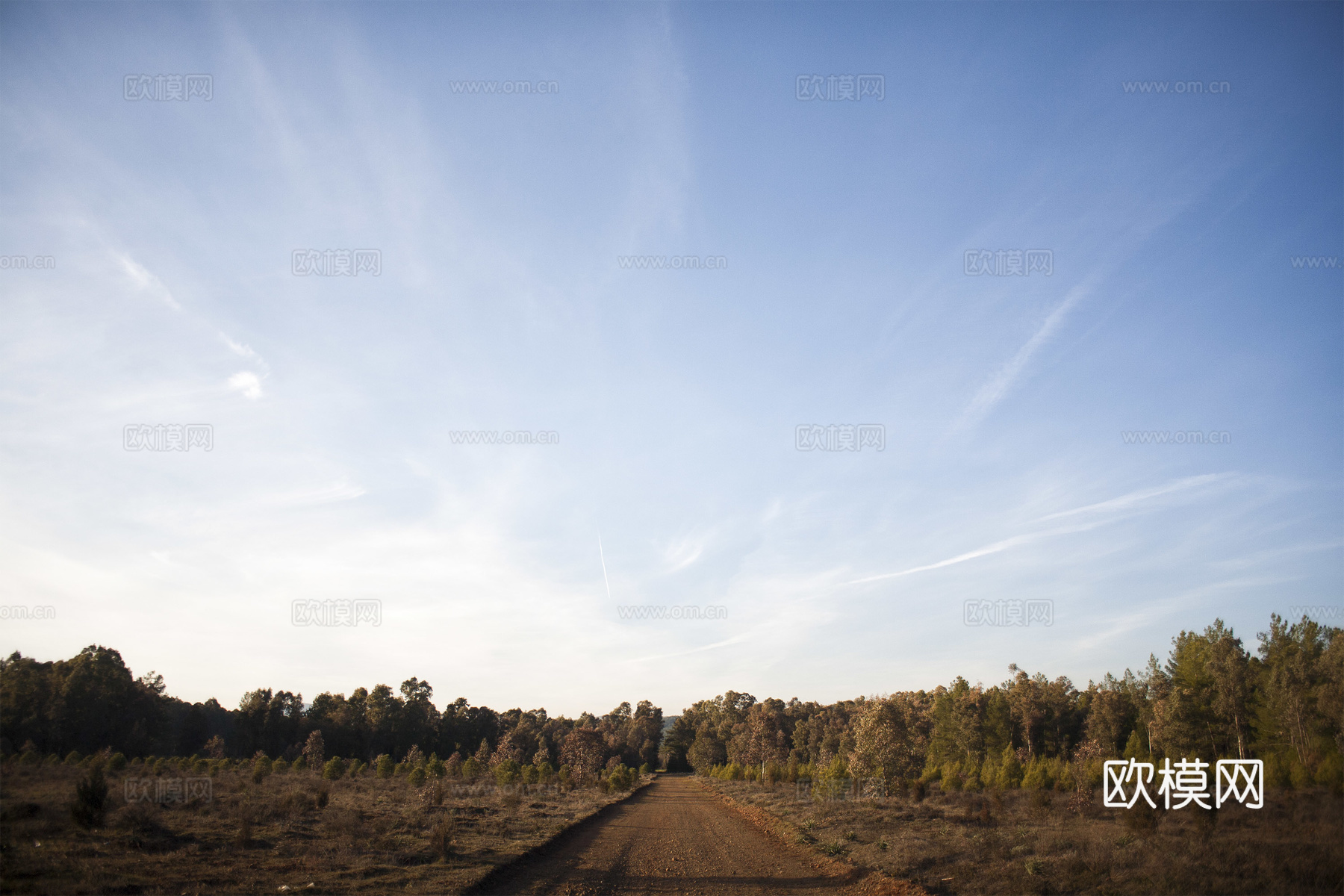 中央土路引导线 茂密树林 蓝天薄云 天空外景