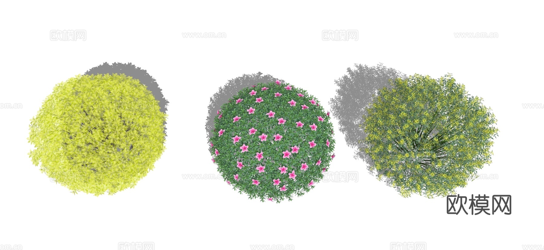 现代灌木球 球灌 灌木植物组合su模型下载（渲染图3）