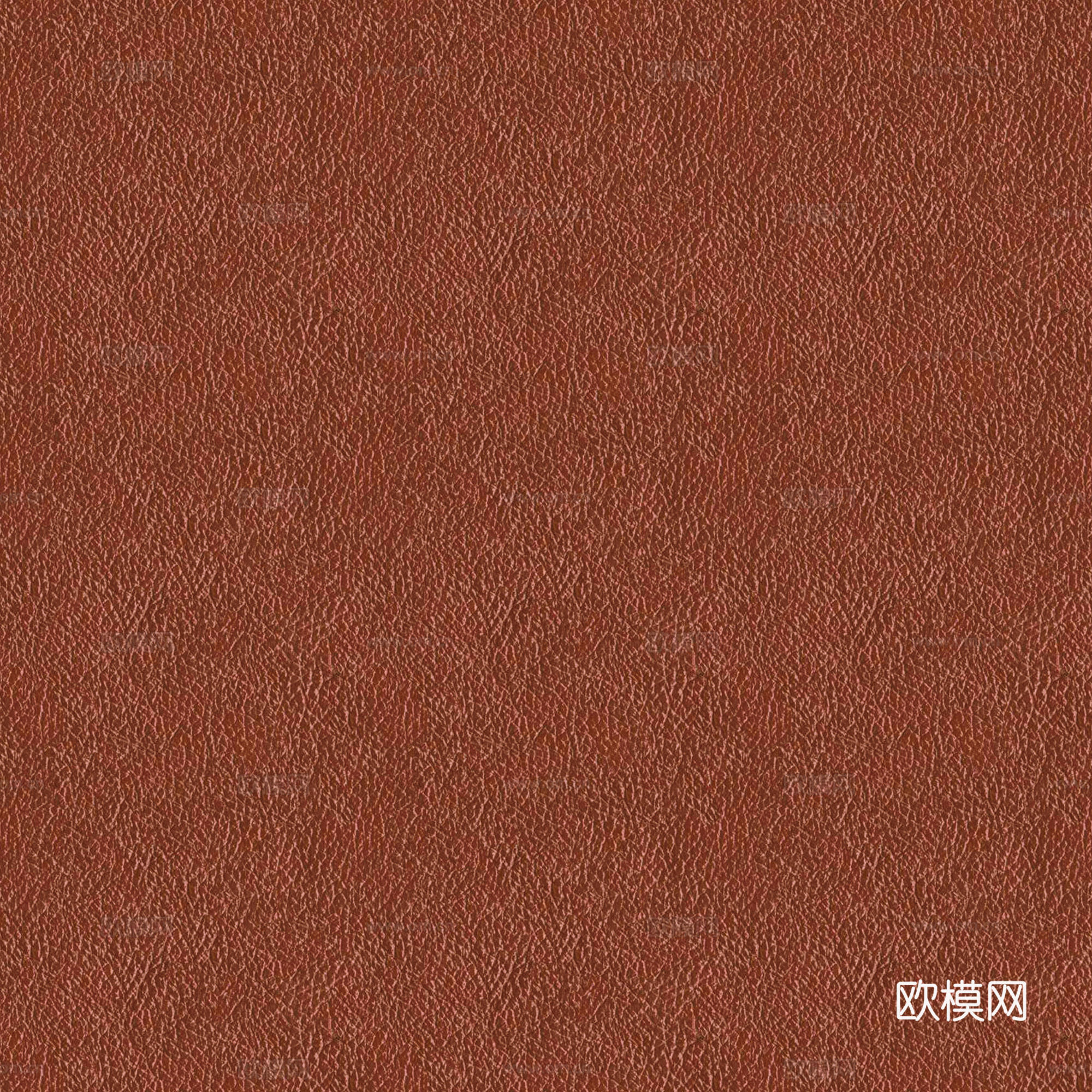 现代皮革 真皮 粗纹皮革
