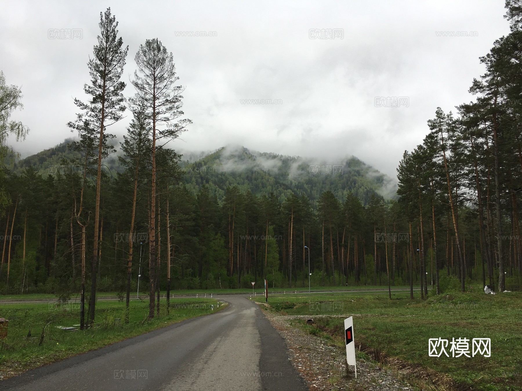 灰缎引路 可商用引导线素材 对称深林径 横构雾路场景 森林公