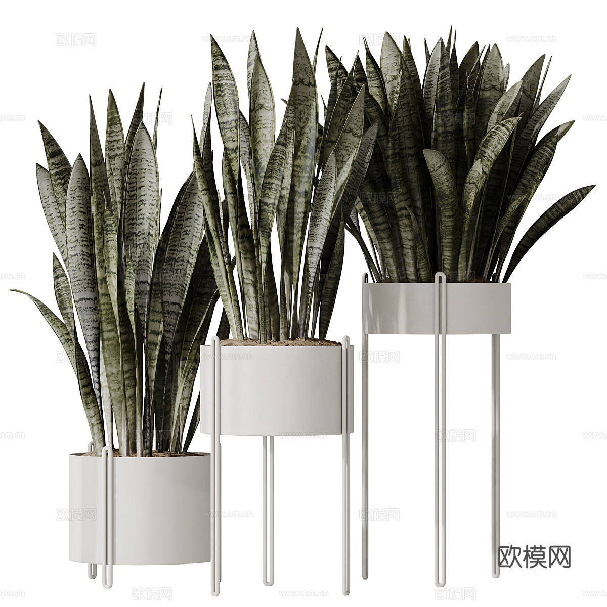 现代绿植盆栽 盆景3d模型