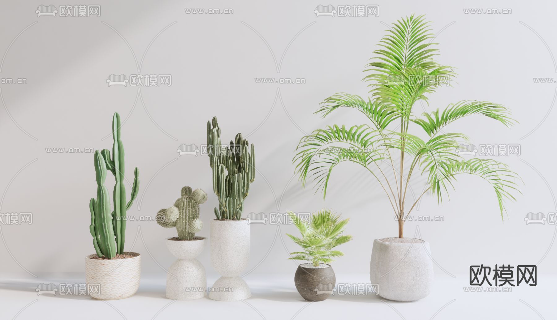 现代仙人掌绿植盆栽su模型下载（渲染图1）