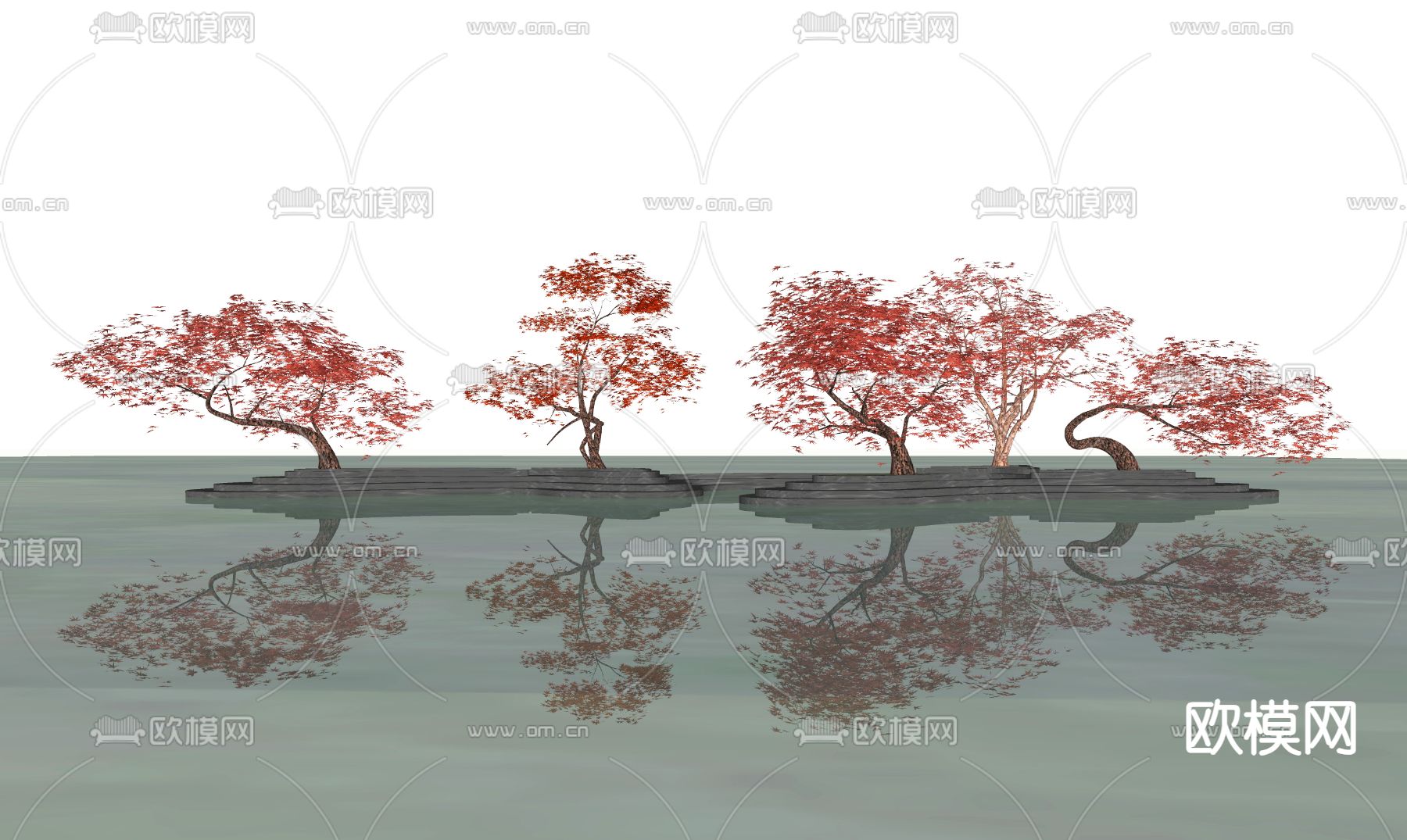 红枫树 树木 大树su模型下载（渲染图2）