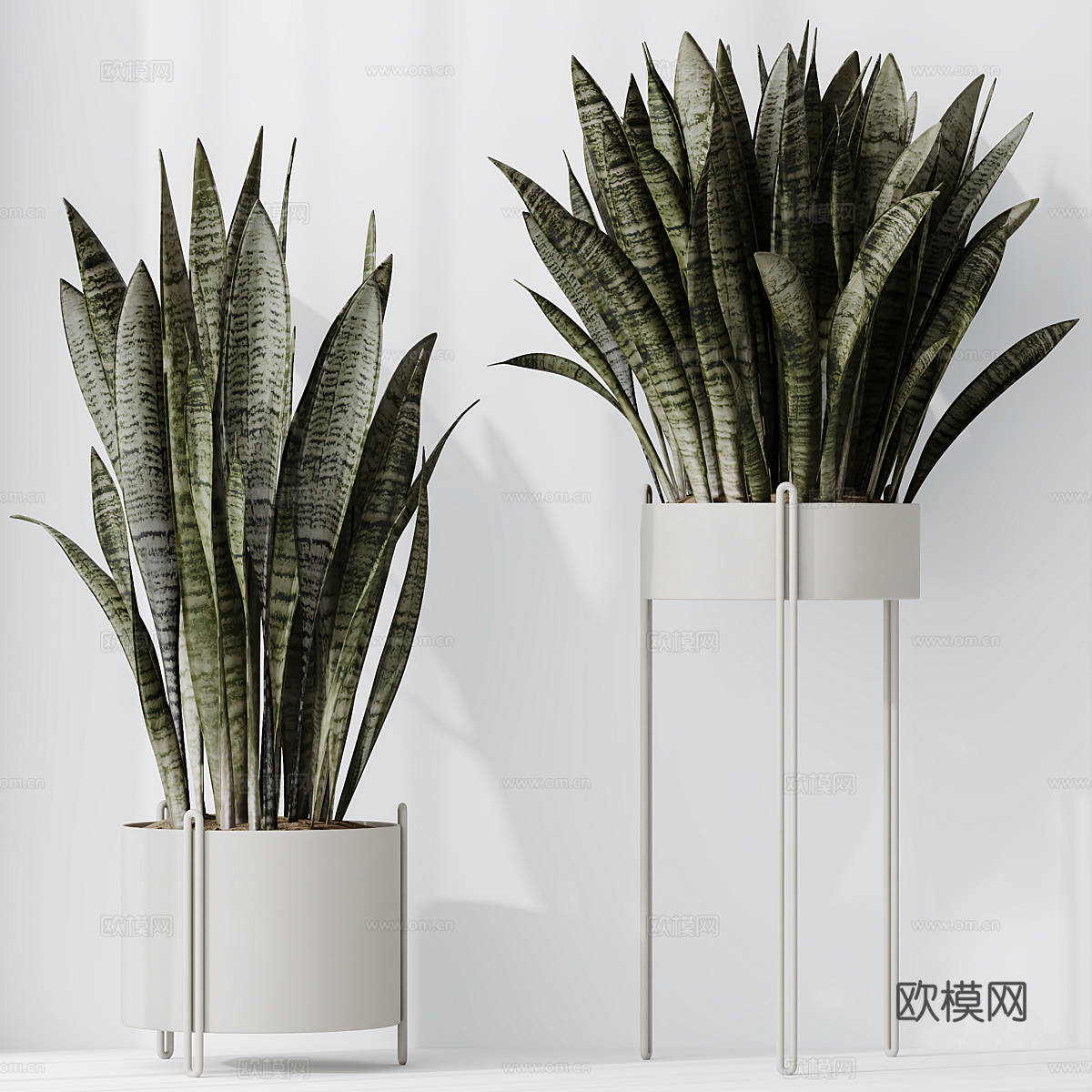现代绿植盆栽 盆景3d模型