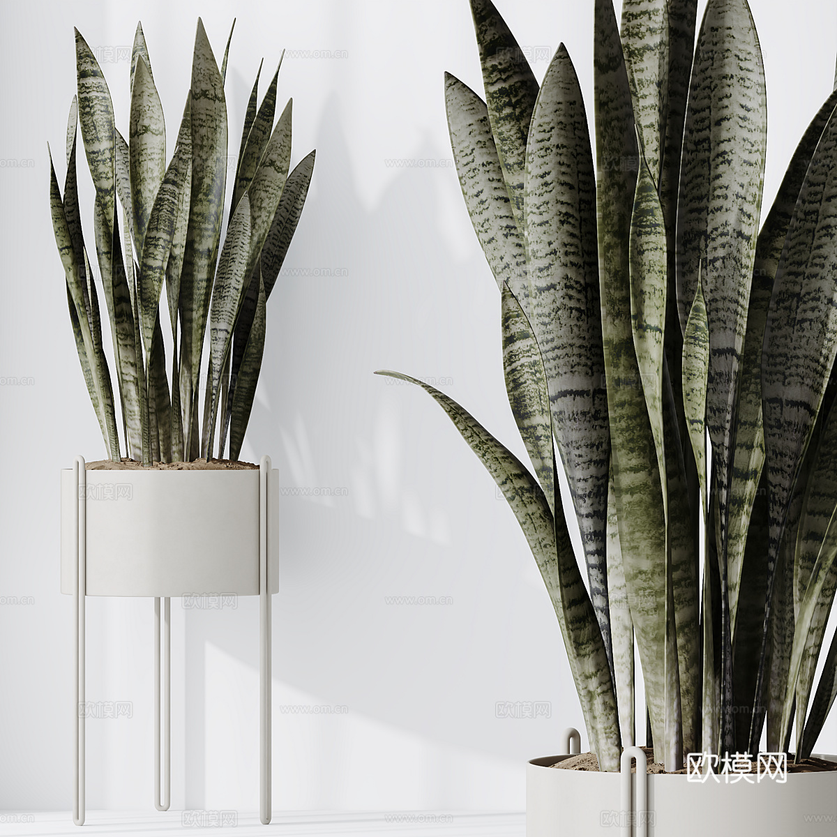 现代绿植盆栽 盆景3d模型