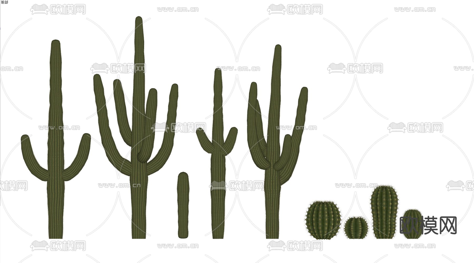 仙人掌 植物su模型下载（渲染图1）