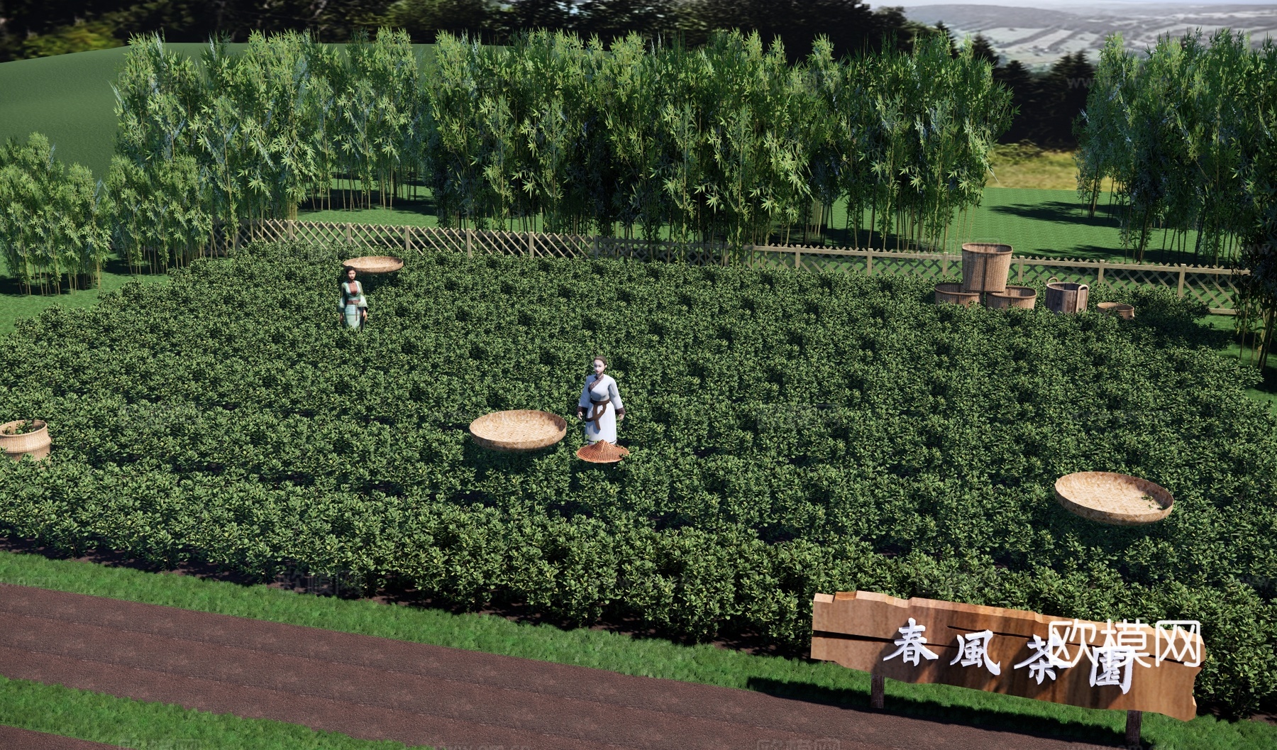 现代茶山文旅公园 茶园茶田 茶园农场 采茶 乡村田园风光 竹su模型