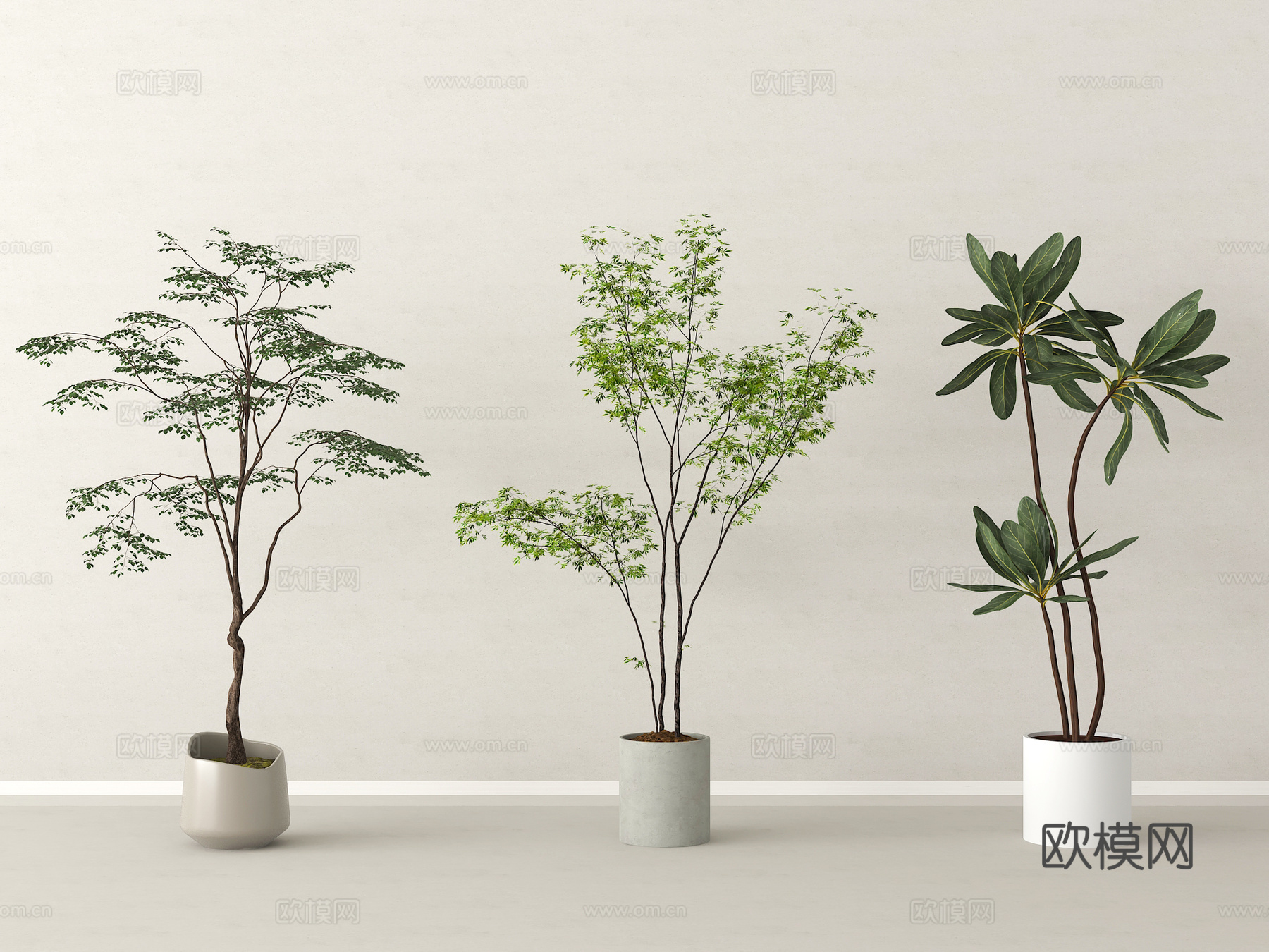 现代盆栽 盆景 绿植 盆栽组合3d模型