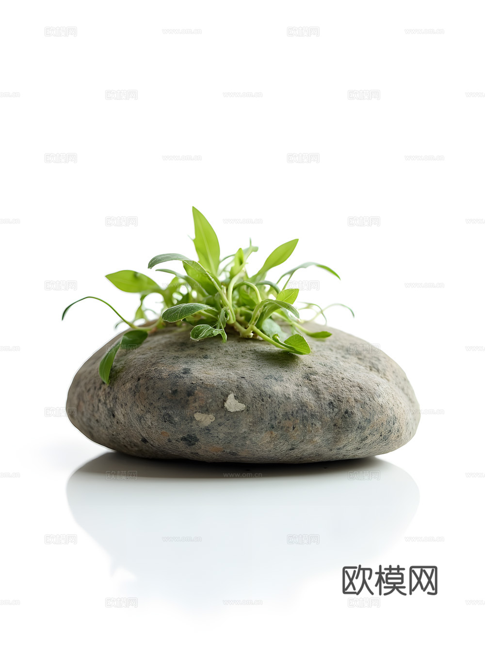 假山 石头 绿植3d模型