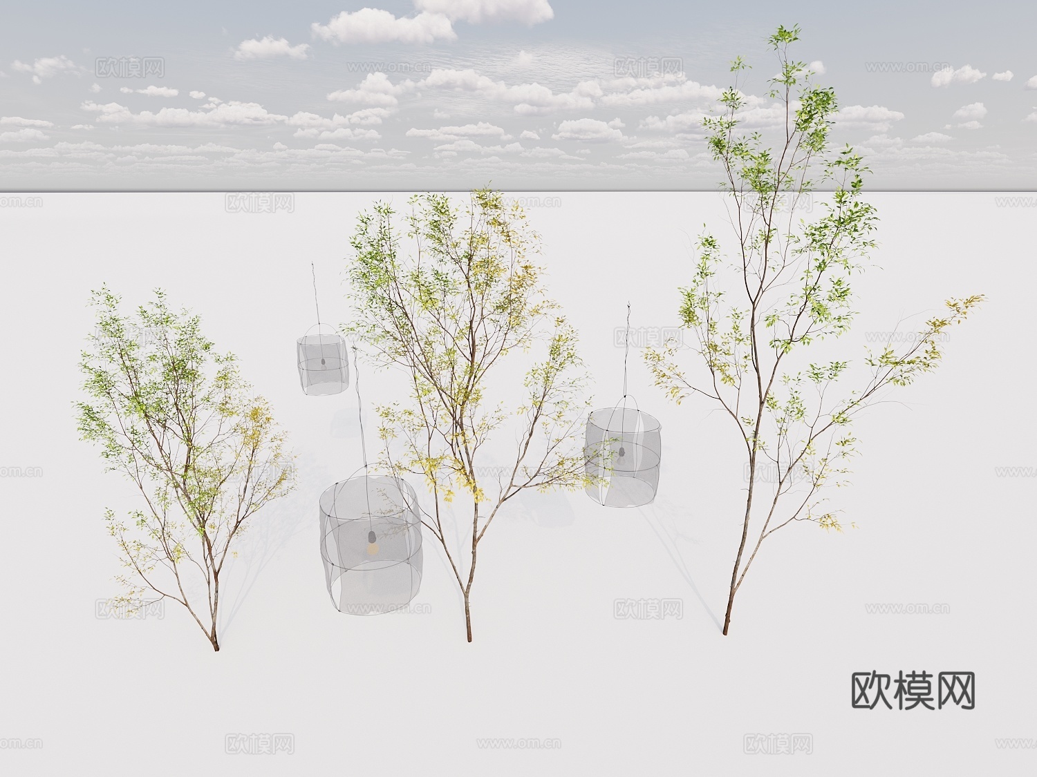 行道树 景观树 庭院树 绿植盆栽植物组合3d模型