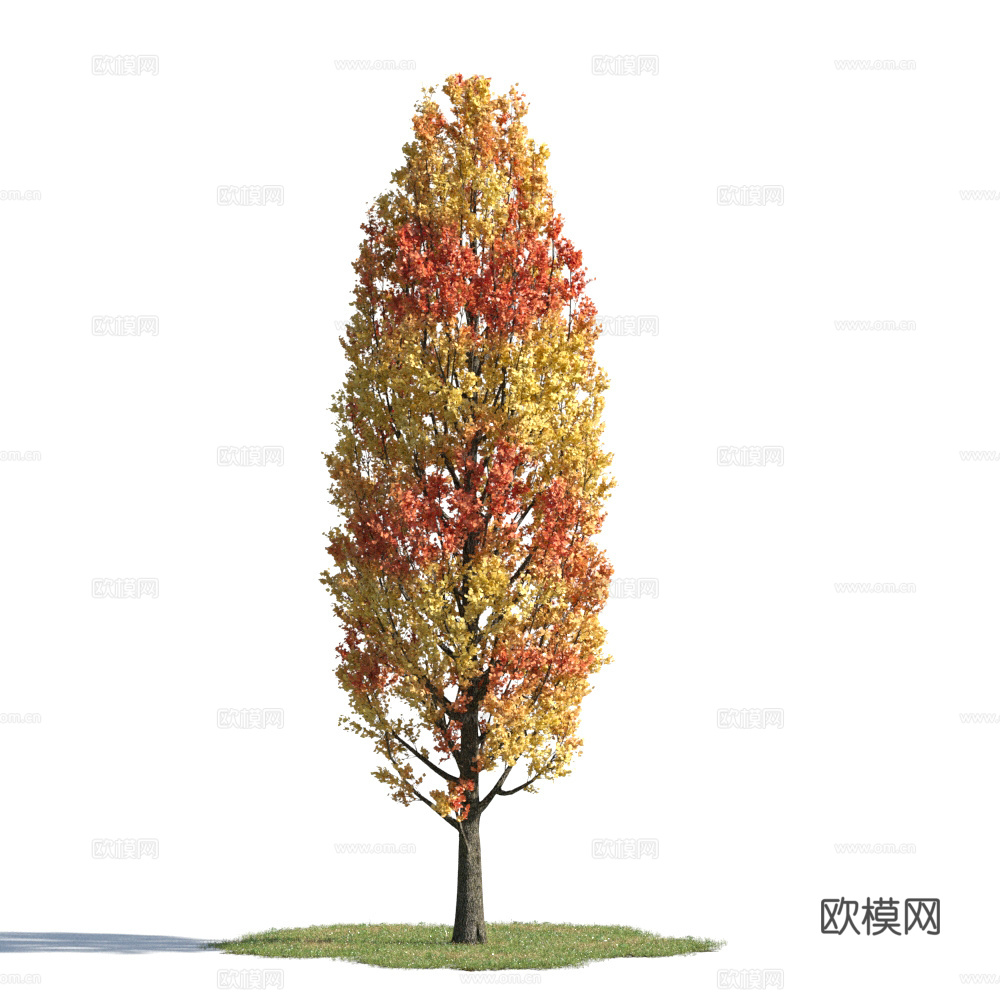 植物  树木 景观树 乔木 秋季植物3d模型
