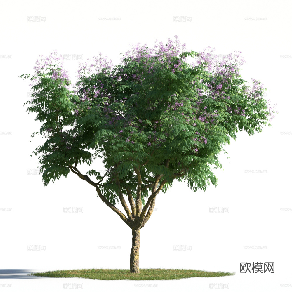 植物  树木 景观树 乔木 花树3d模型