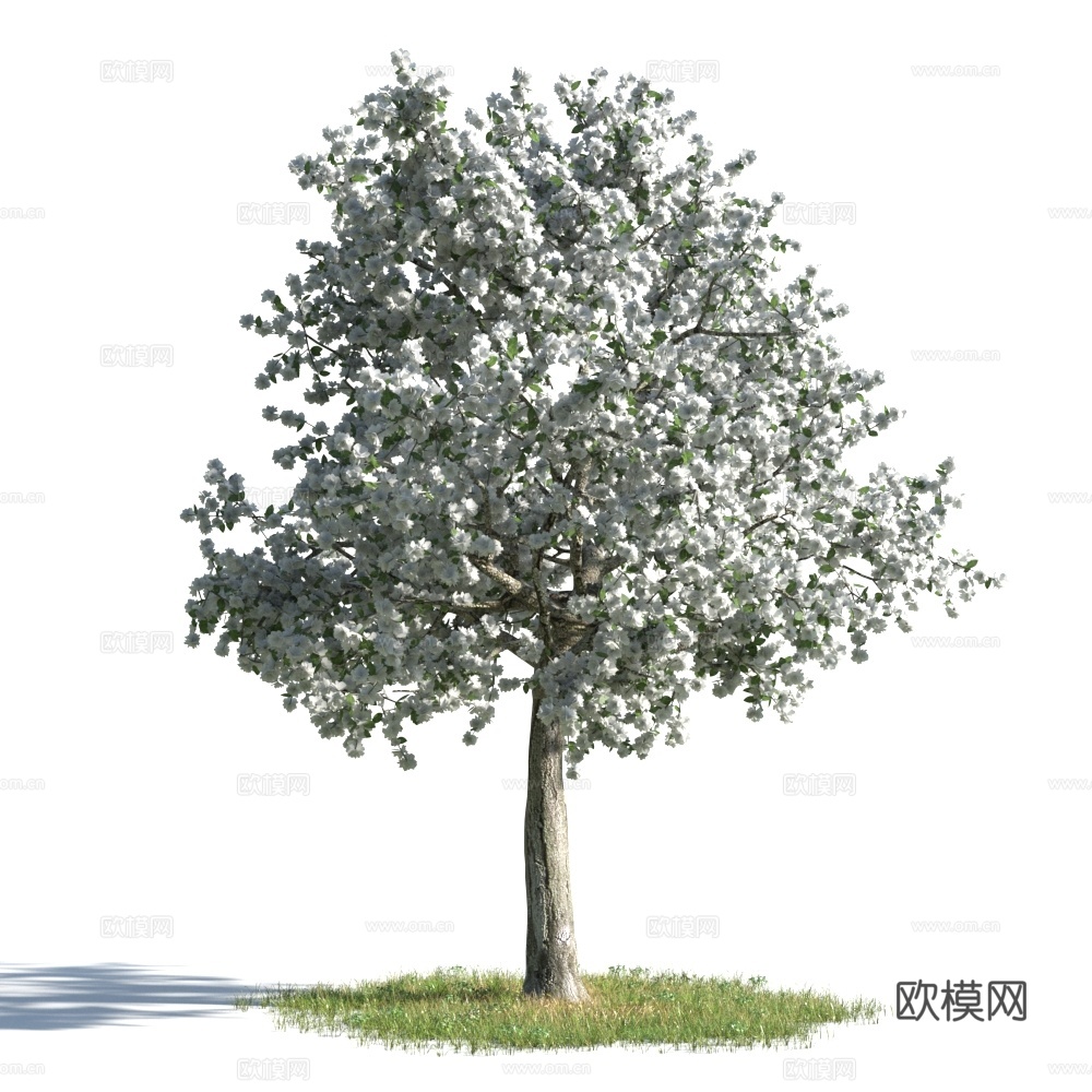 植物  树木 景观树 乔木 花树3d模型