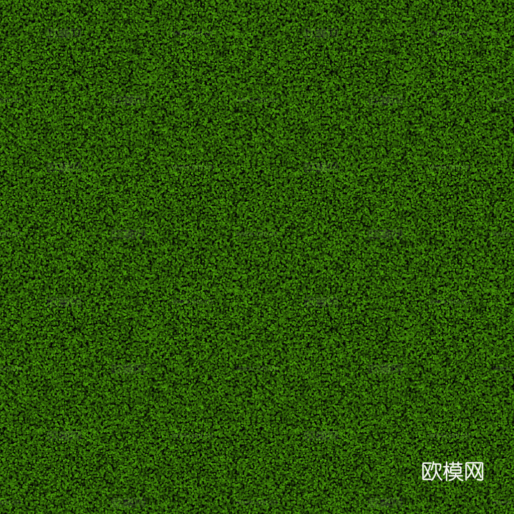 草地草坪草皮  公园公路庭院绿地草坪