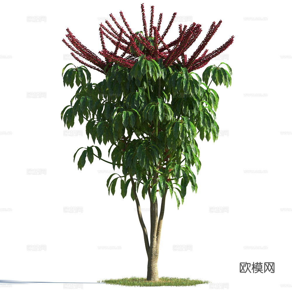 植物  树木 景观树 乔木 花树3d模型