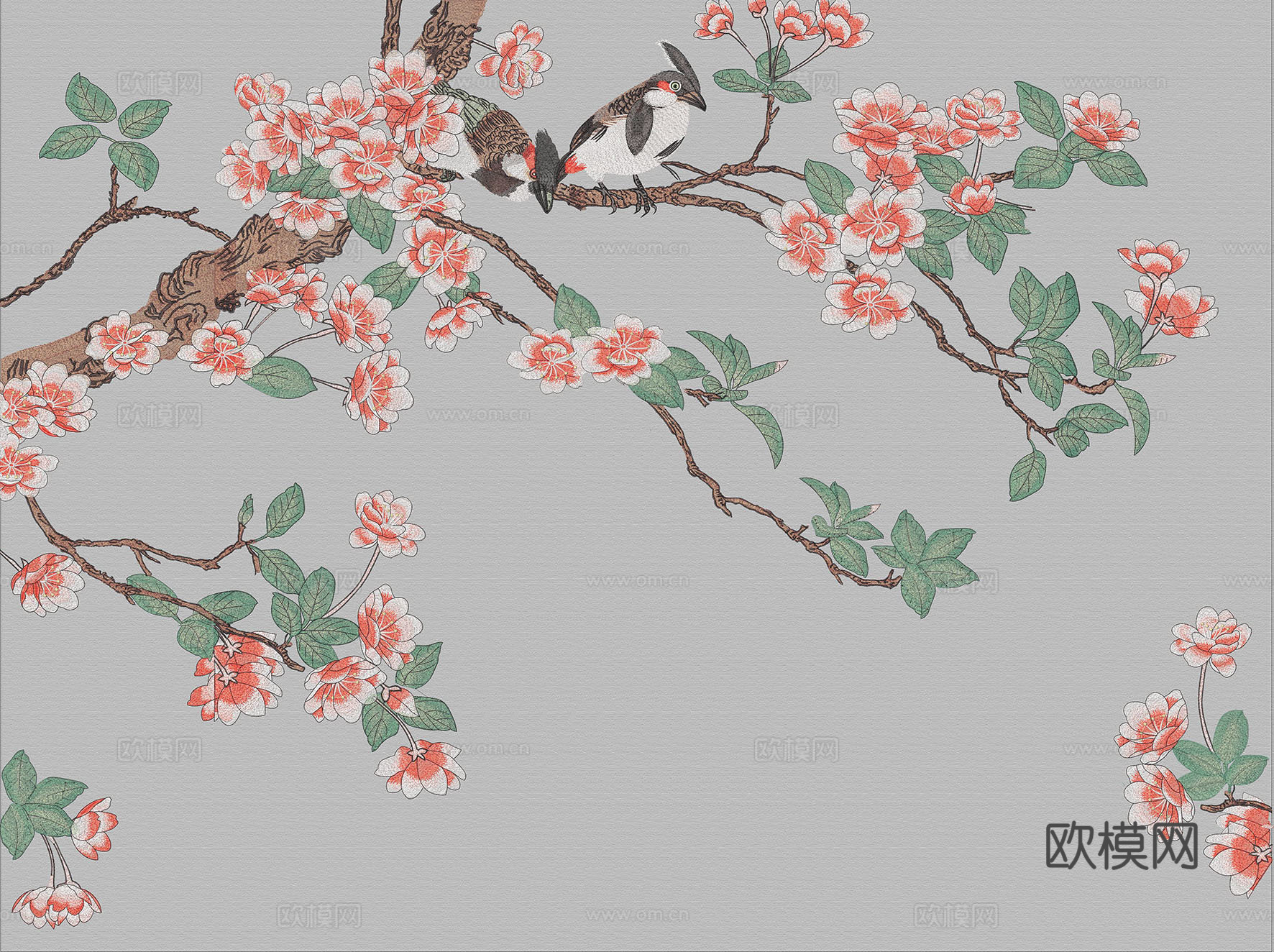 花鸟壁纸