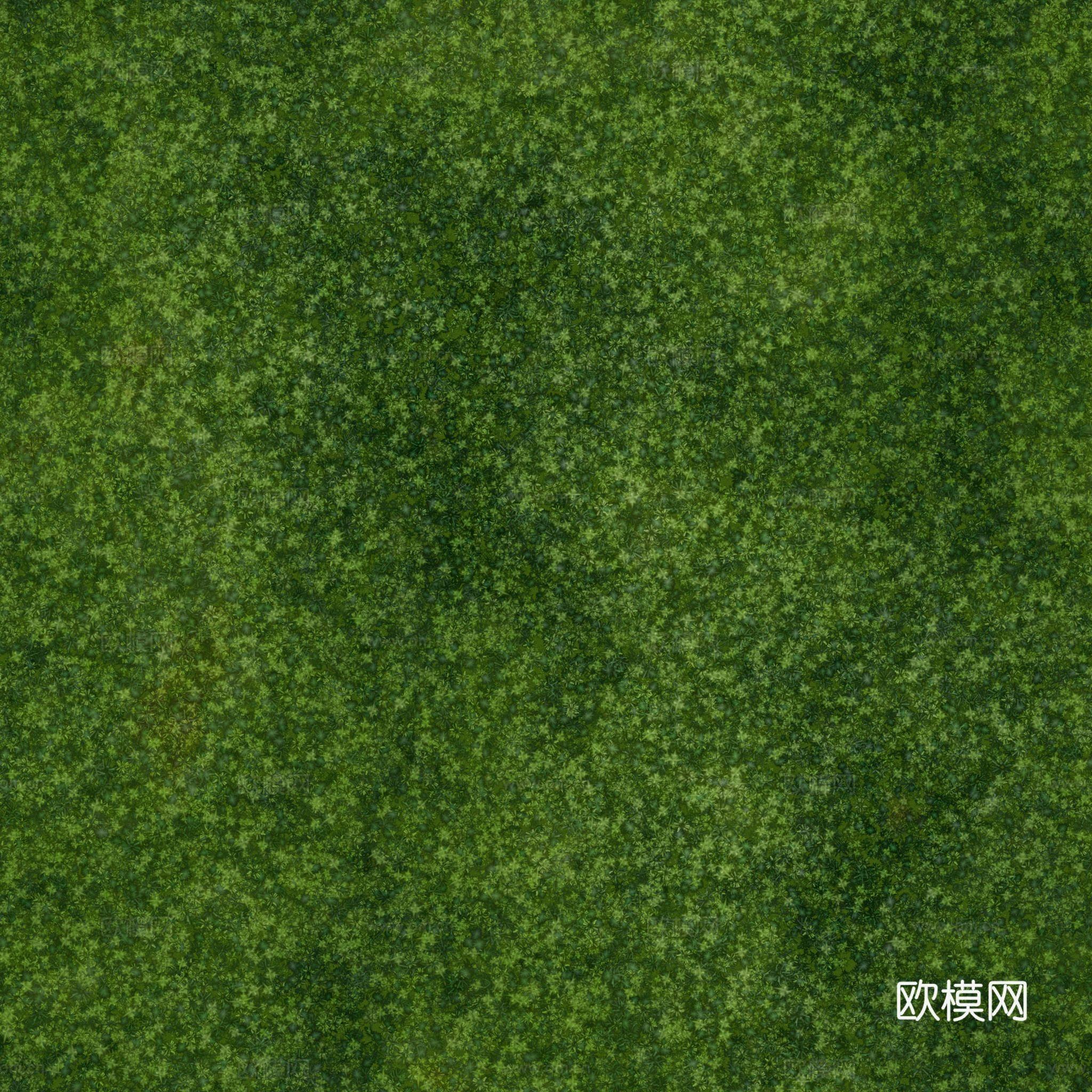 公园公路庭院绿地草坪