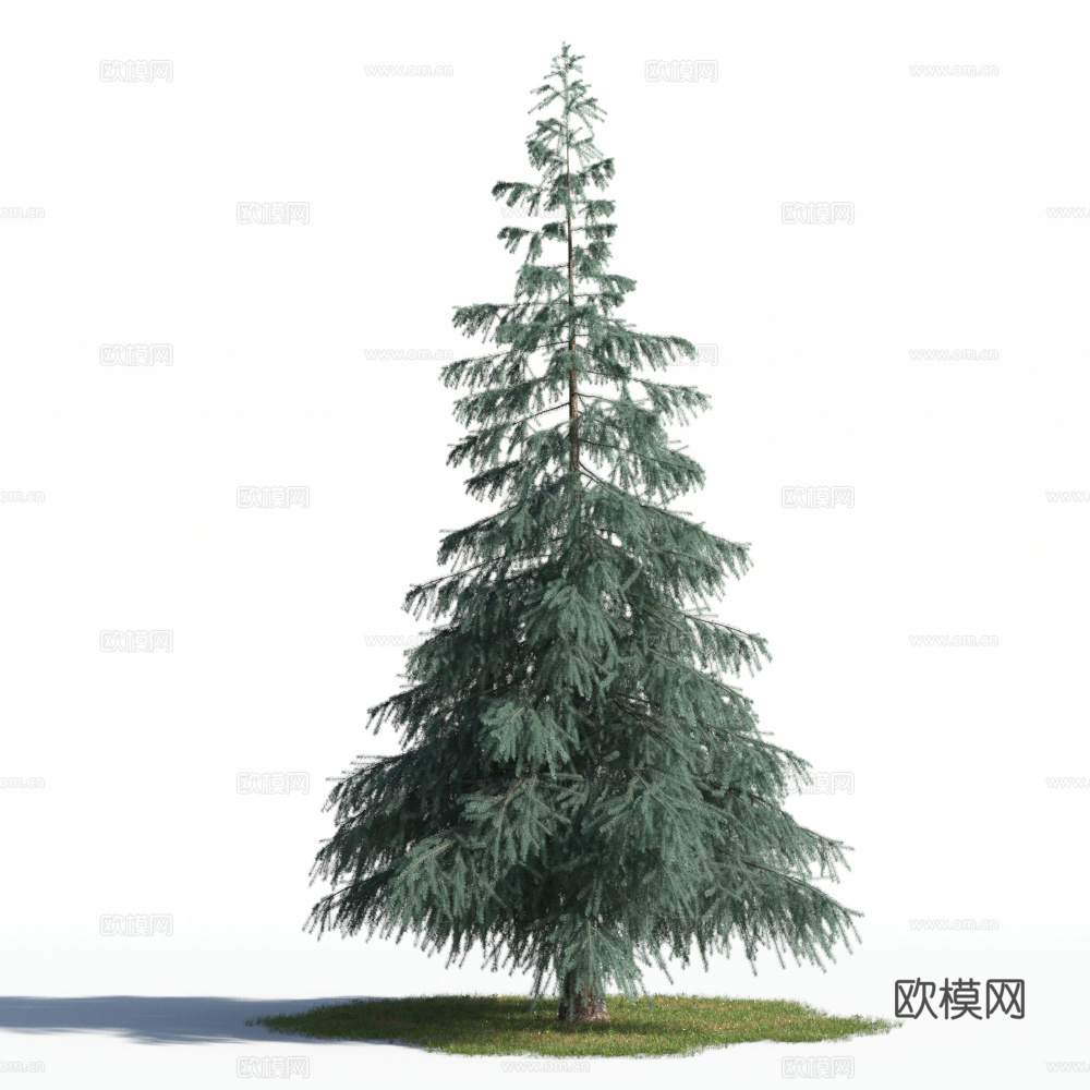 植物  树木 景观树 乔木 松树3d模型
