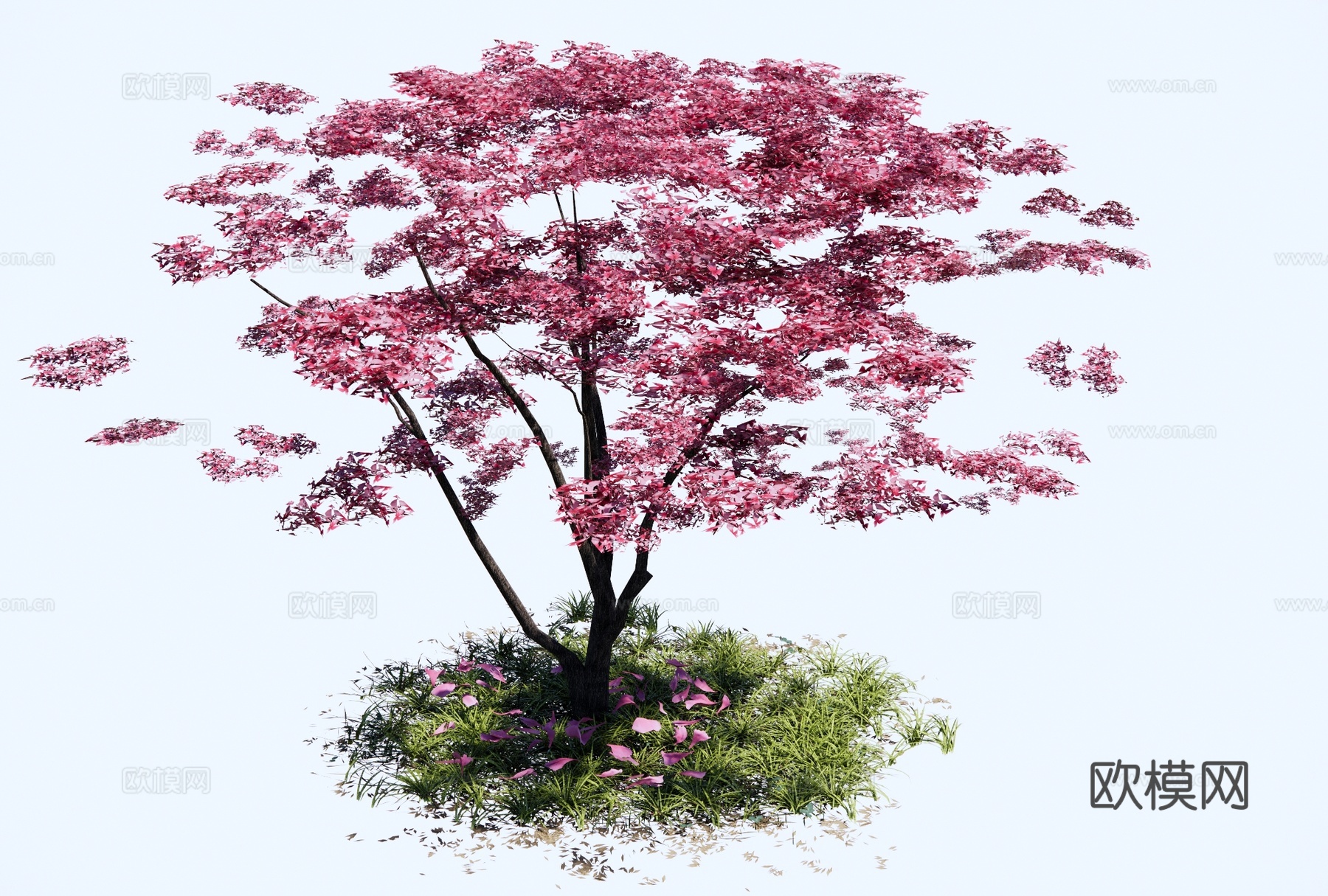桃花树 樱花树 景观乔木 海棠 园林造型树 庭园花树 开花乔su模型
