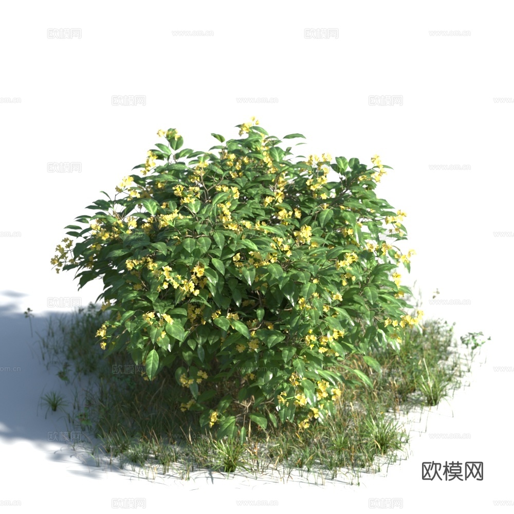 植物 灌木 灌木球 花树3d模型