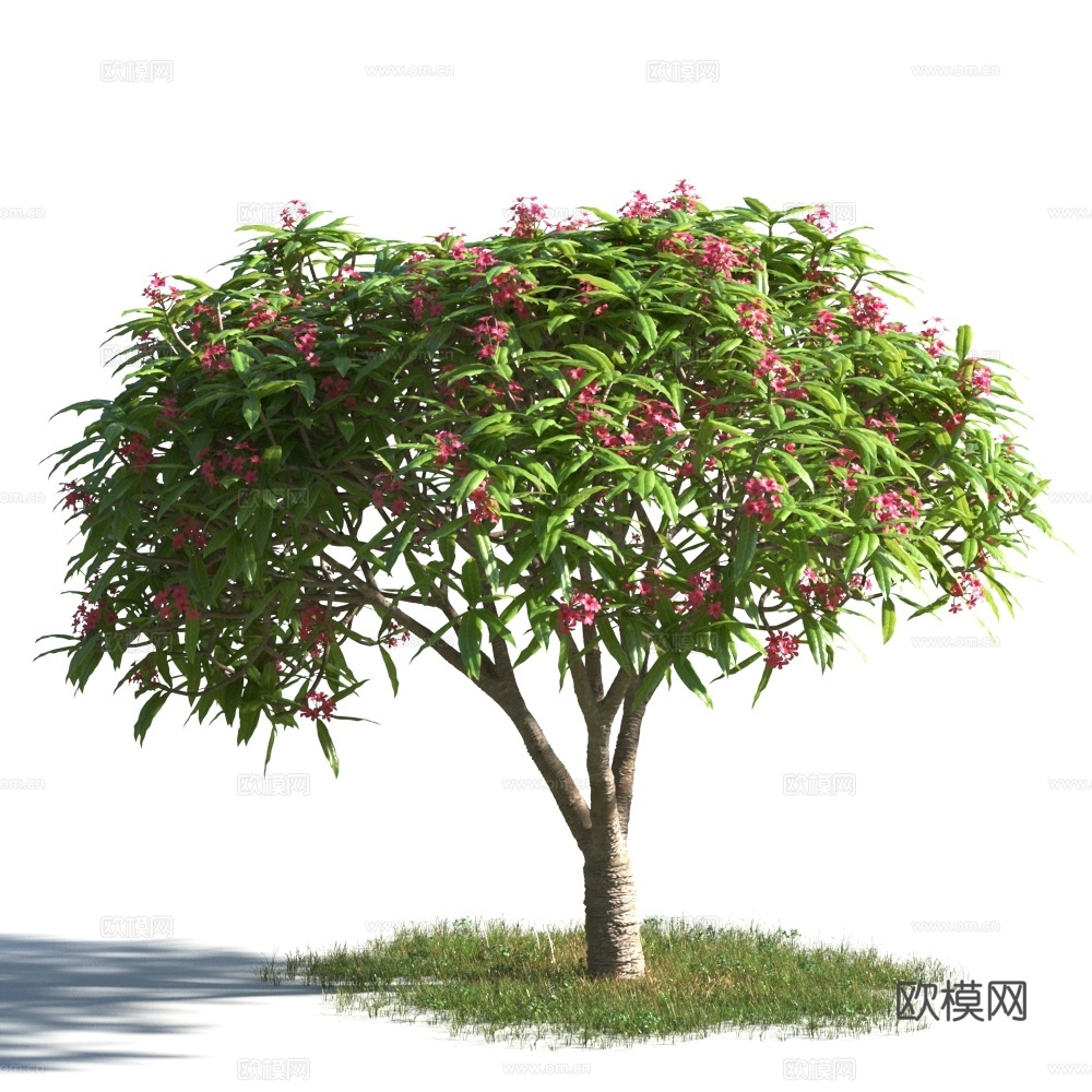 植物  树木 景观树 乔木 花树3d模型