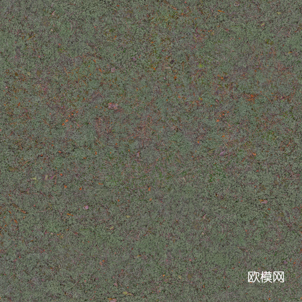 秋天草地草坪草皮  公园公路庭院绿地草坪