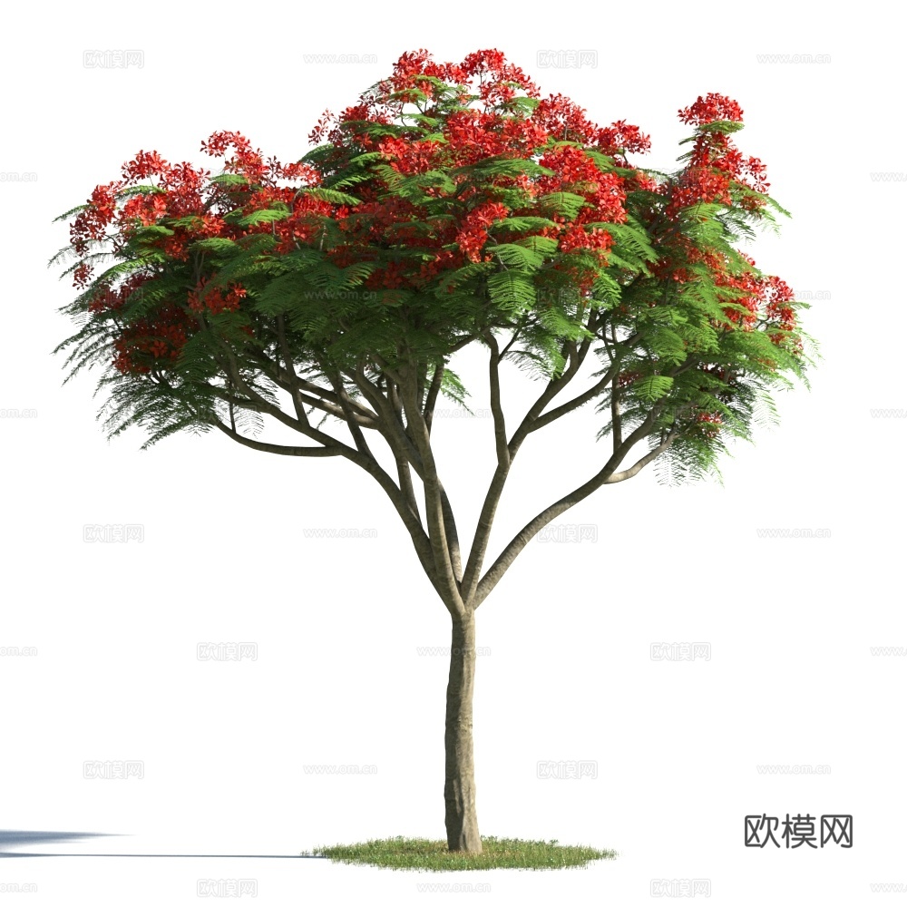 植物  树木 景观树 乔木 花树3d模型