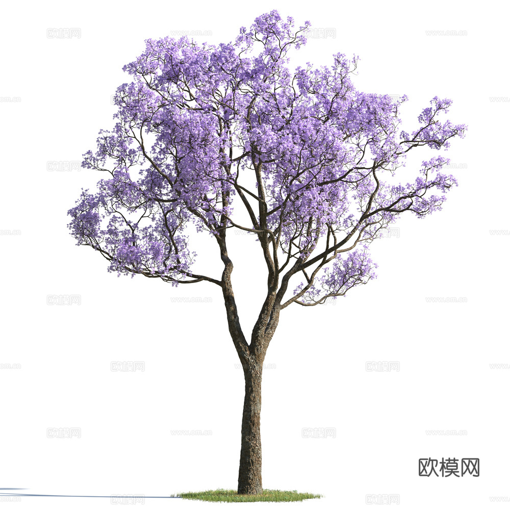 植物  树木 景观树 乔木 花树3d模型