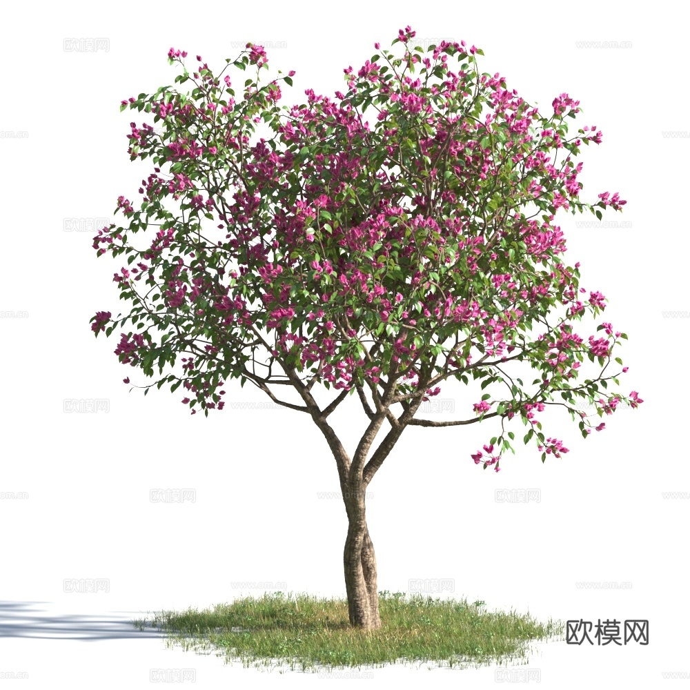 植物  树木 景观树 乔木 花树3d模型