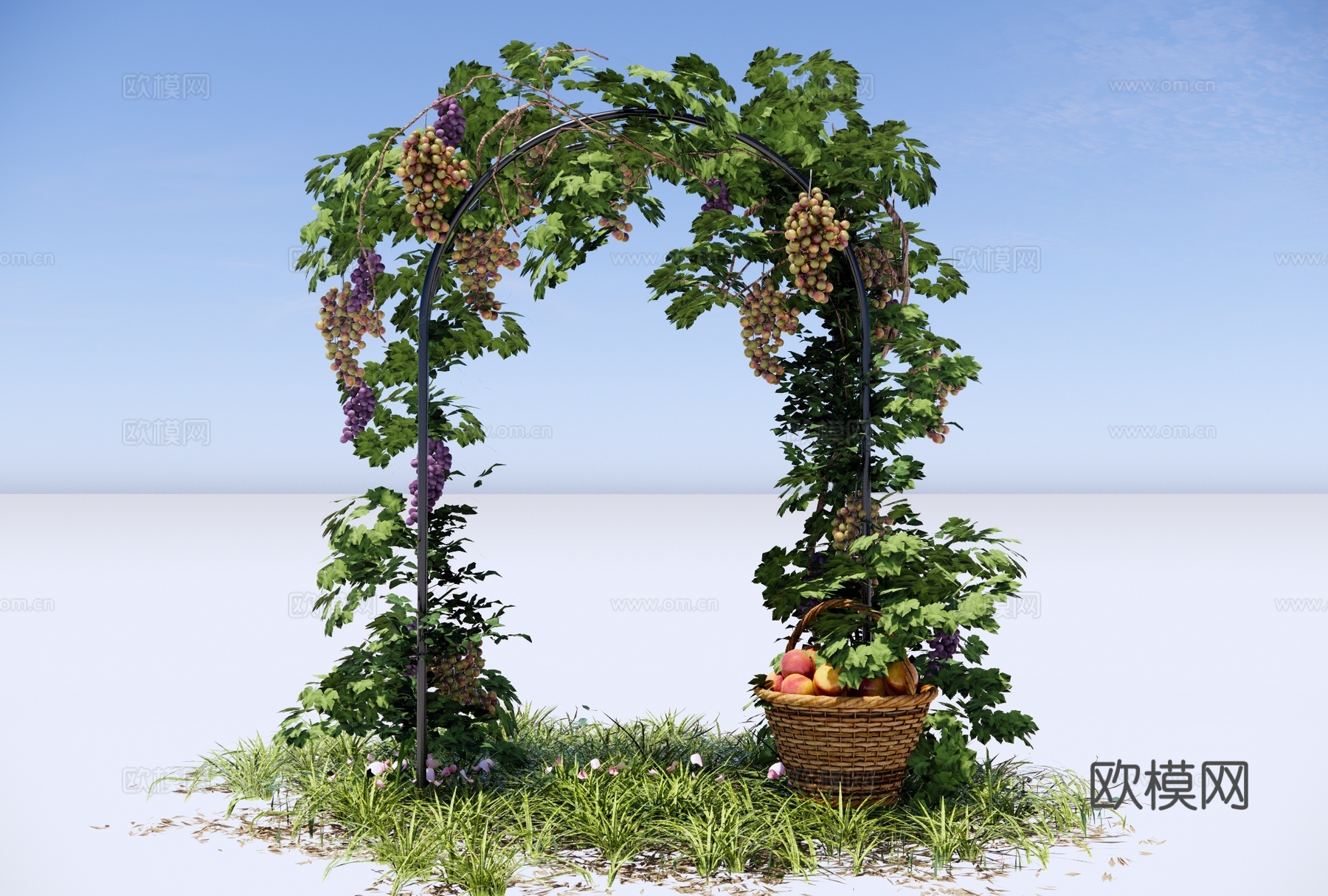 欧式花拱门 拱形花架 藤蔓植物 葡萄藤廊架 葡萄架su模型