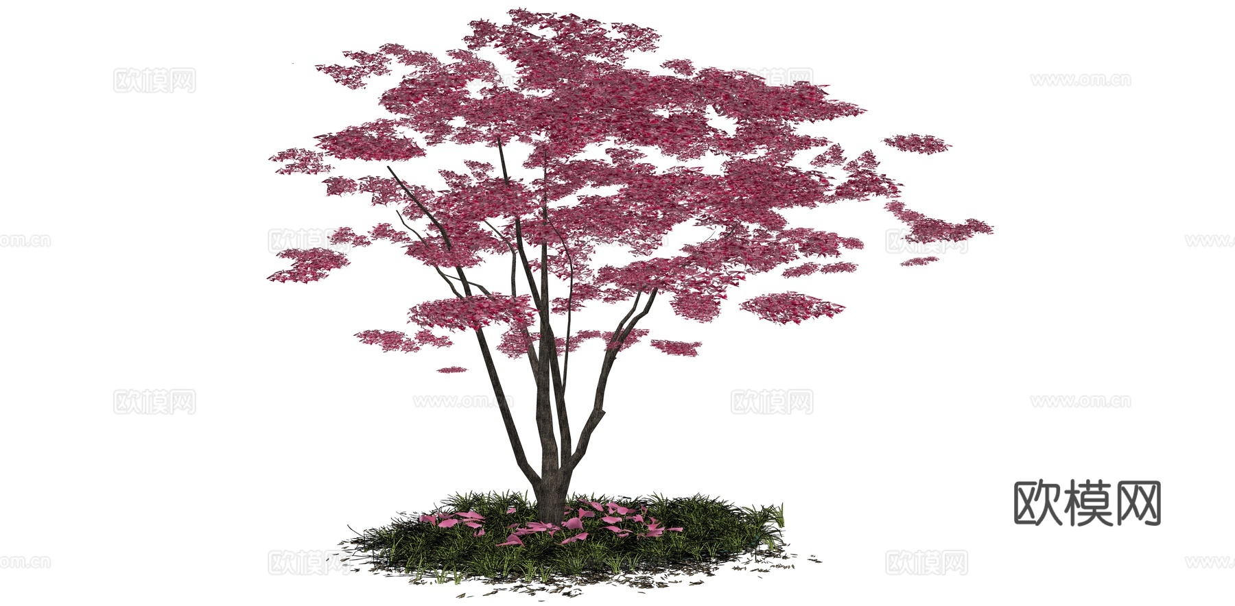 桃花树 樱花树 景观乔木 海棠 园林造型树 庭园花树 开花乔su模型
