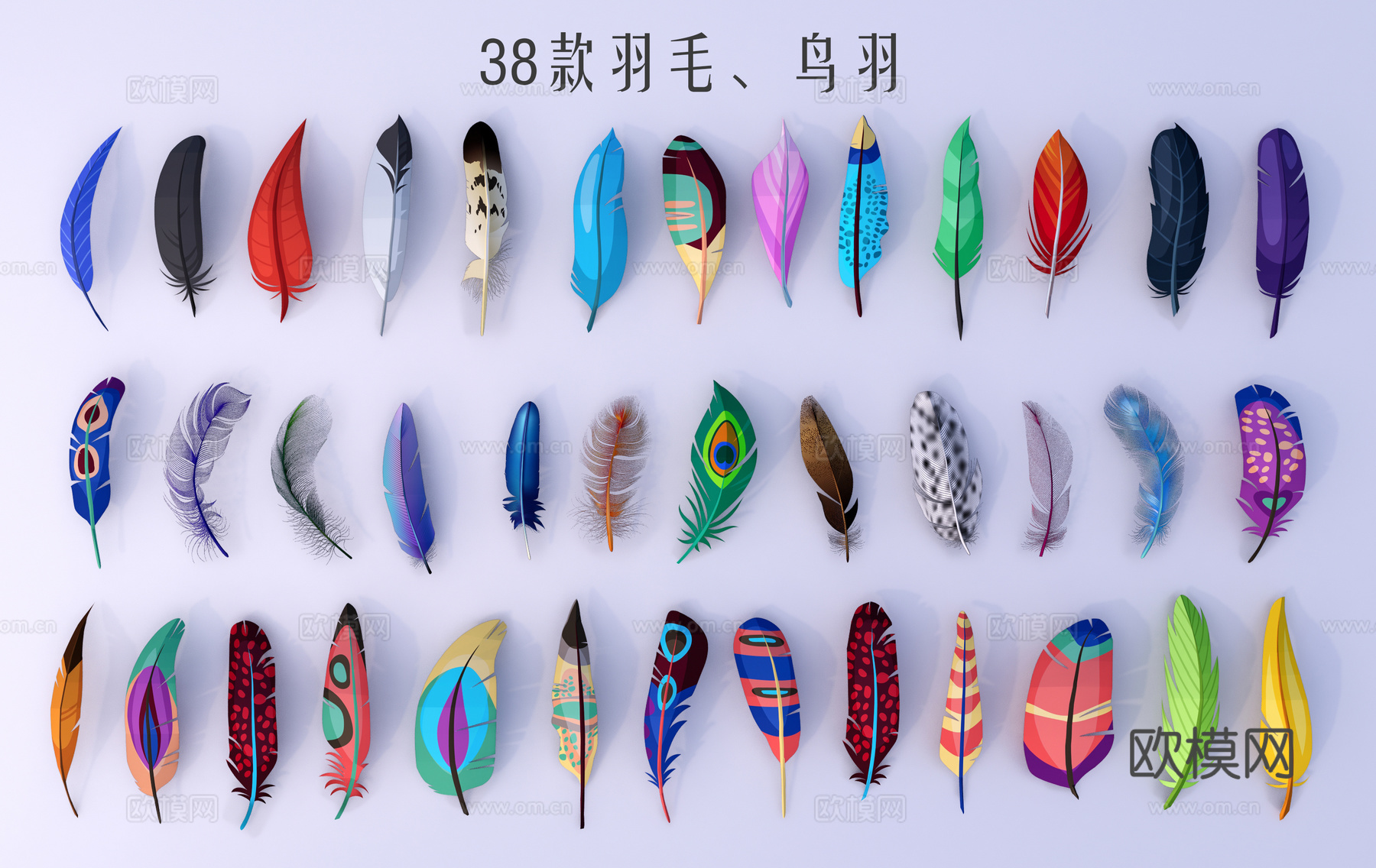 现代羽毛墙饰挂件 装饰品 羽毛 鸟羽su模型下载