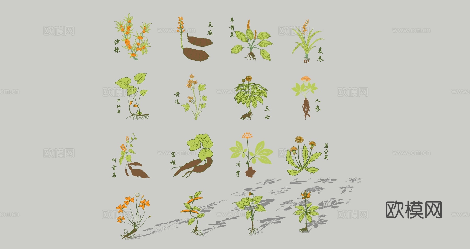 现代中草药剪影 中医药草图案 中药材花草 草本植物剪影 墙饰挂件su模型下载