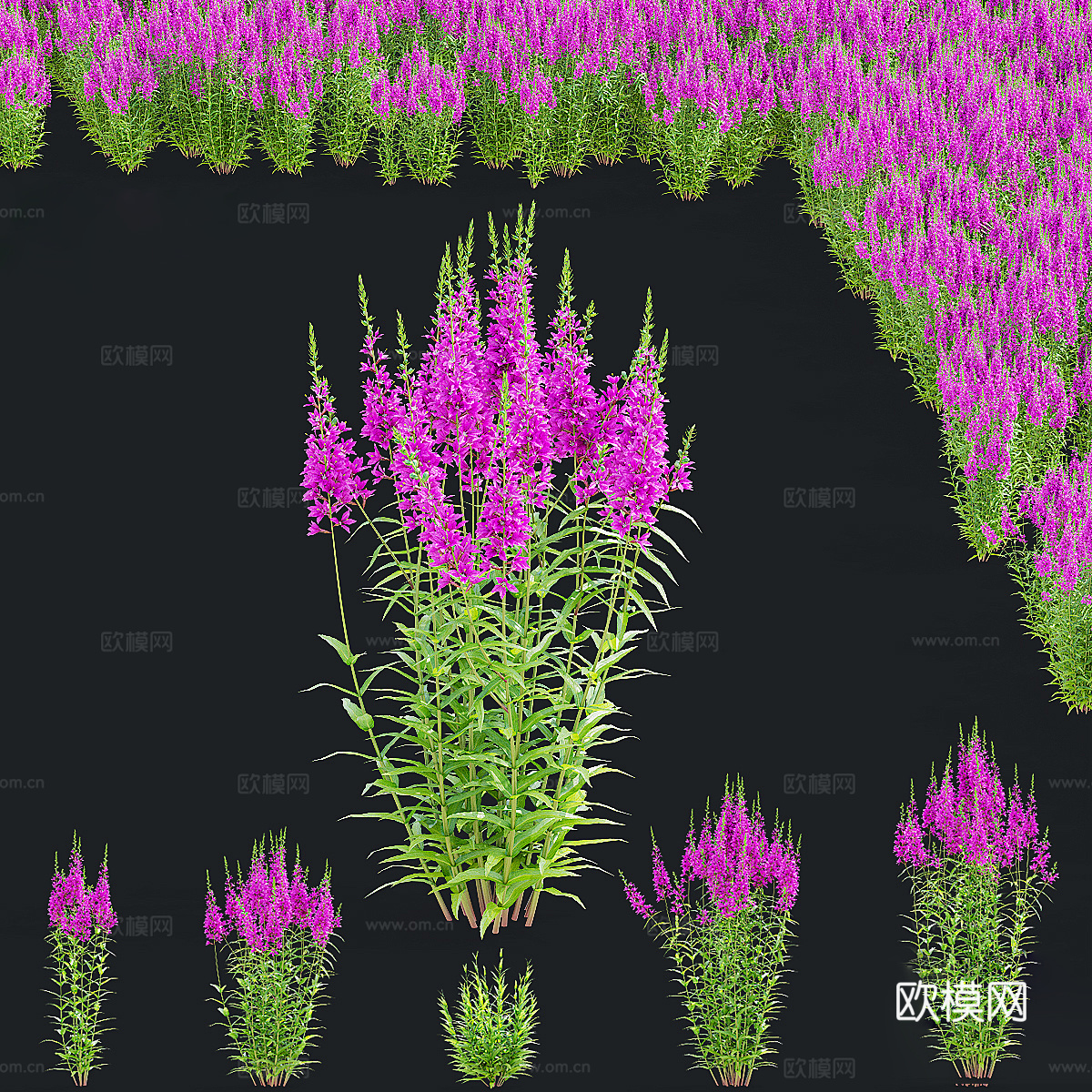 盆景盆栽3d模型