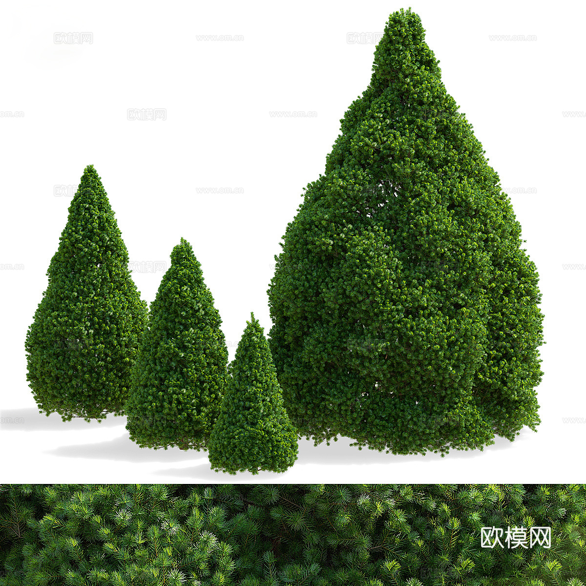 灌木3d模型