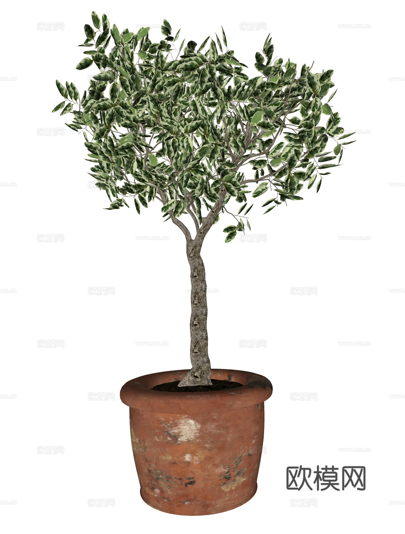 现代盆栽盆景  室内盆栽  绿植盆栽su模型