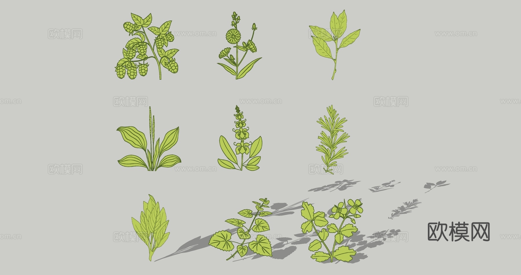 现代中草药剪影 中医药草图案 中药材花草植物  中草药植物墙饰挂件