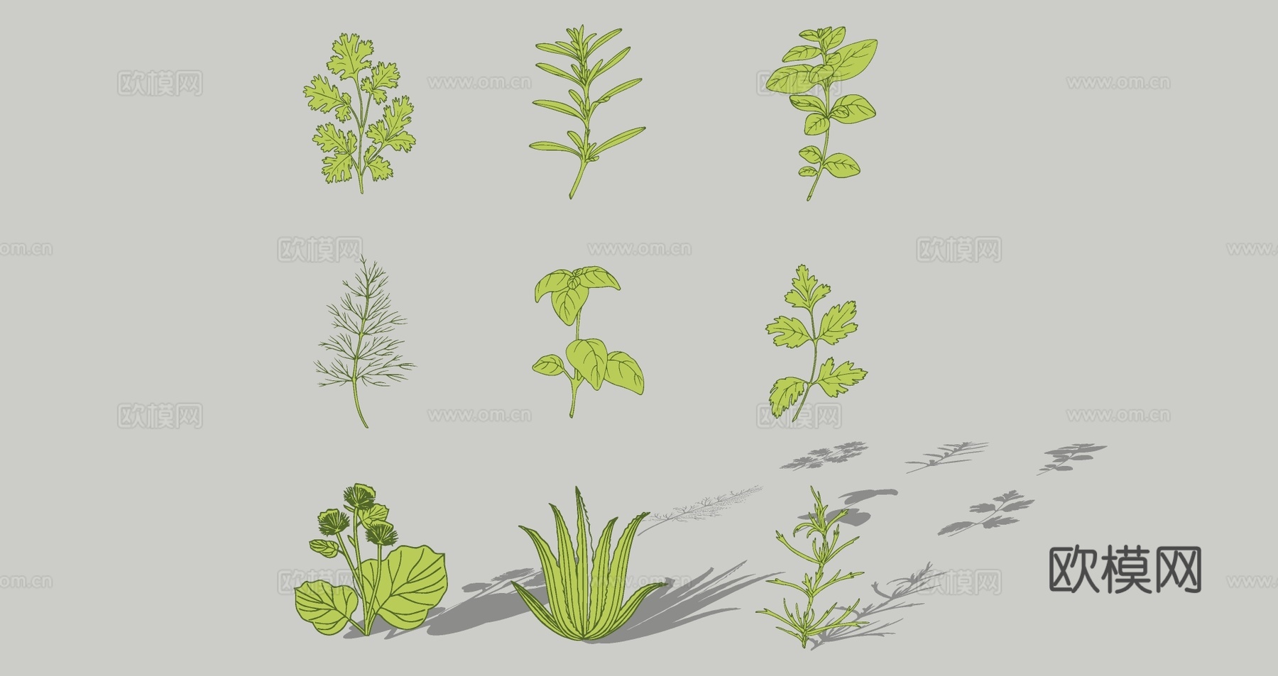 现代中草药剪影 中医药草图案 中药材花草植物  中草药植物墙饰挂件
