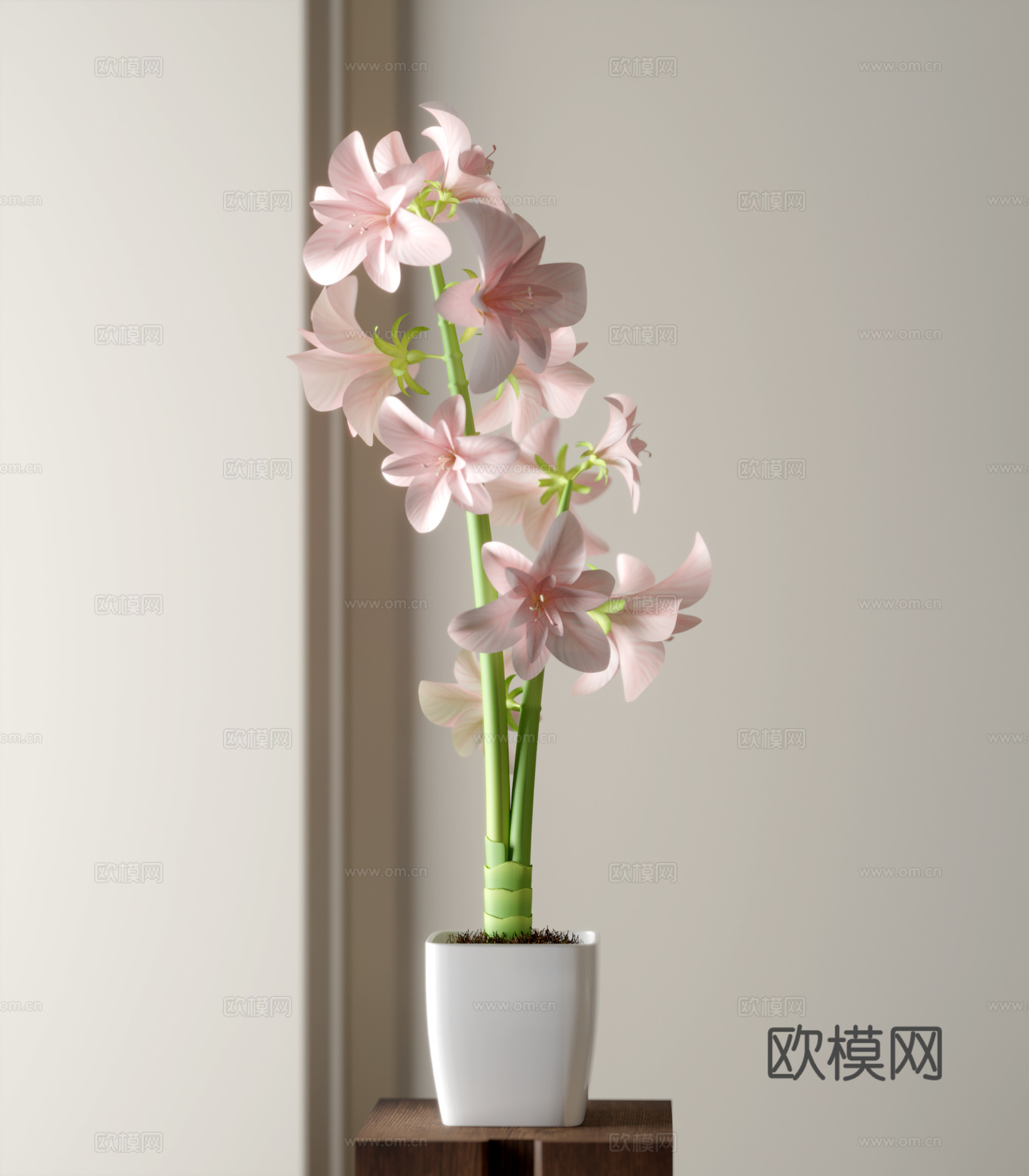 盆栽花卉3d模型