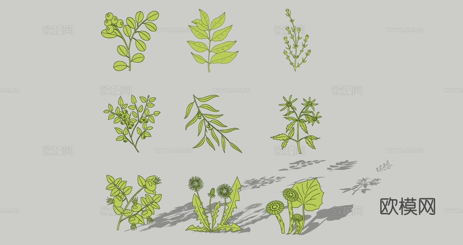 现代中草药剪影 中医药草图案 中药材花草植物  中草药植物墙饰挂件