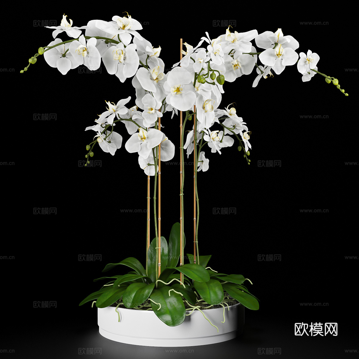 现代植物花草  盆栽花艺 室内花卉su模型