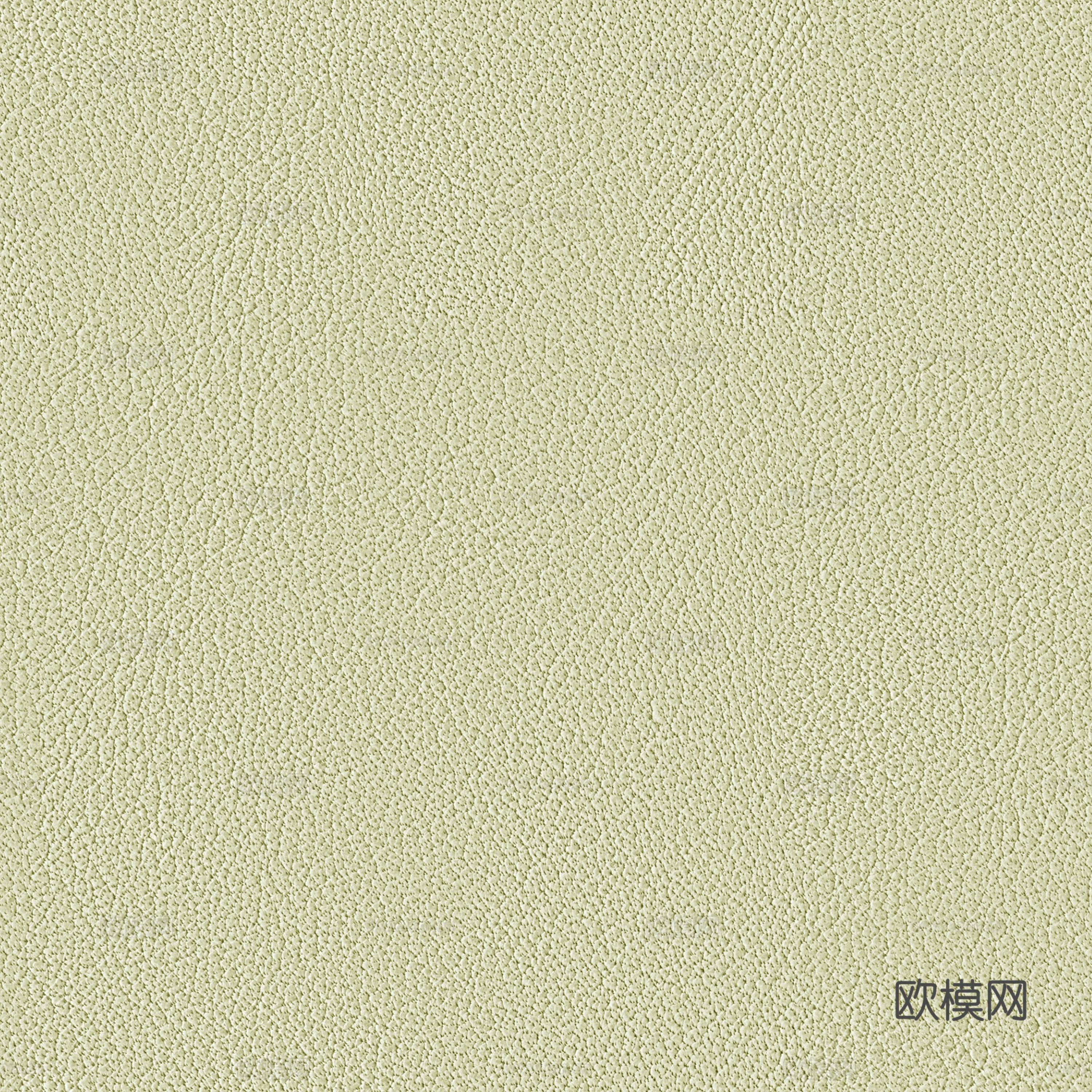 绿色哑光皮革