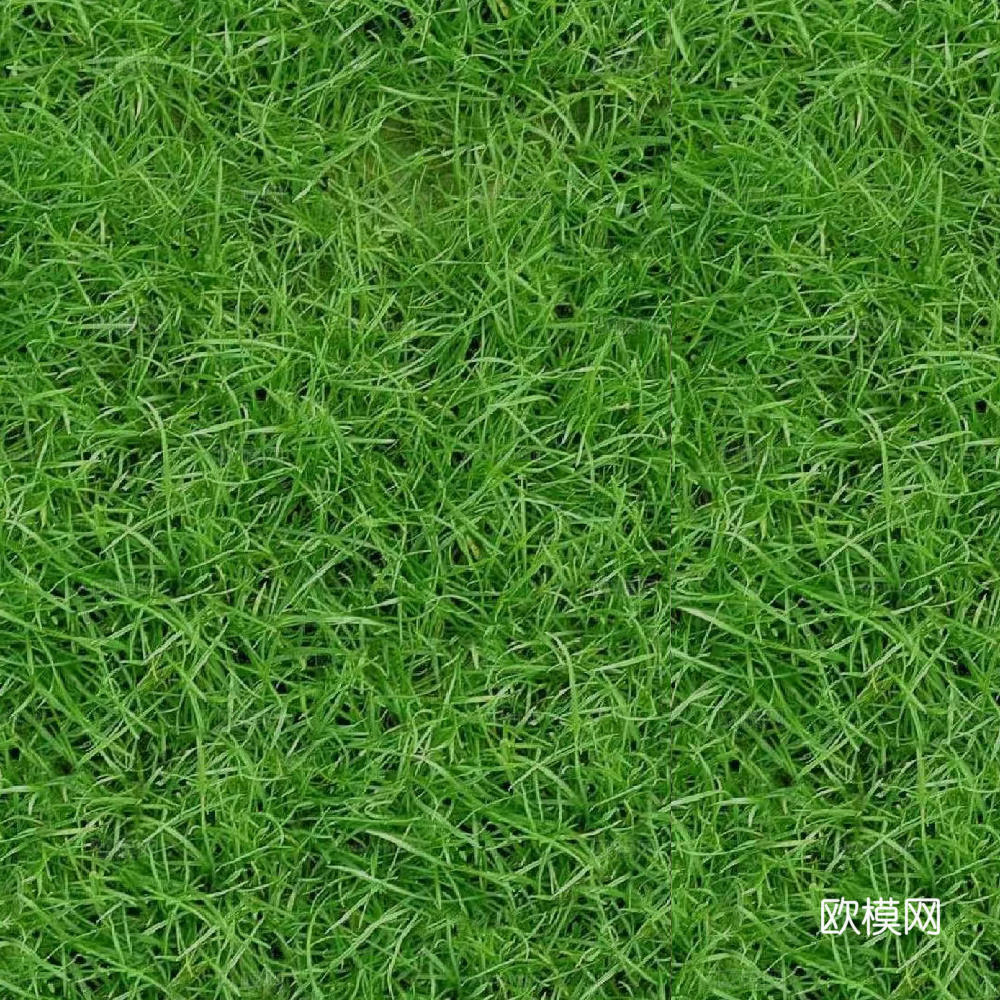 草地 地皮 草皮下载