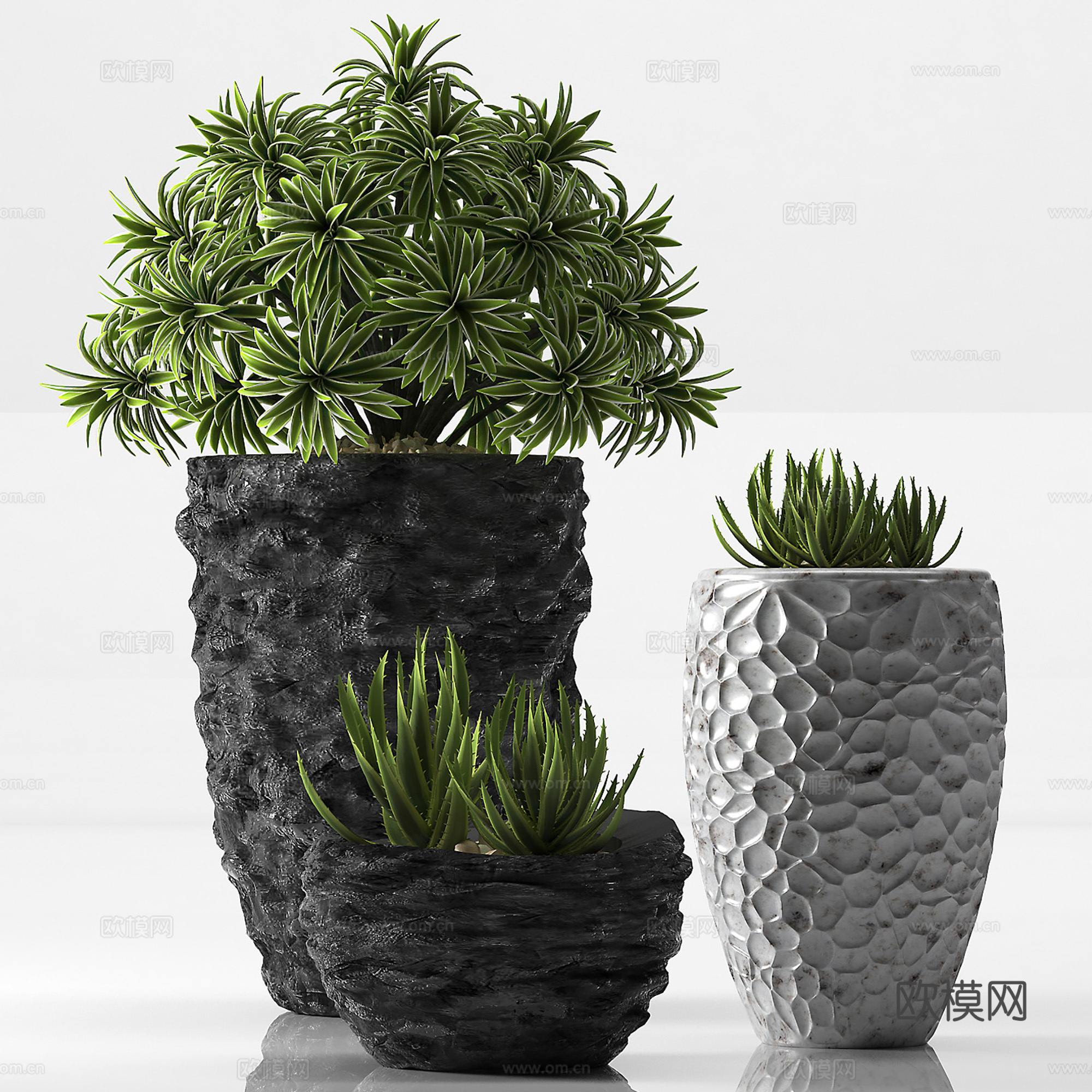 现代盆栽盆景  室内盆栽组合  绿植盆栽su模型