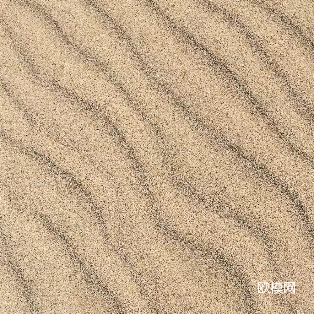 沙土 沙滩