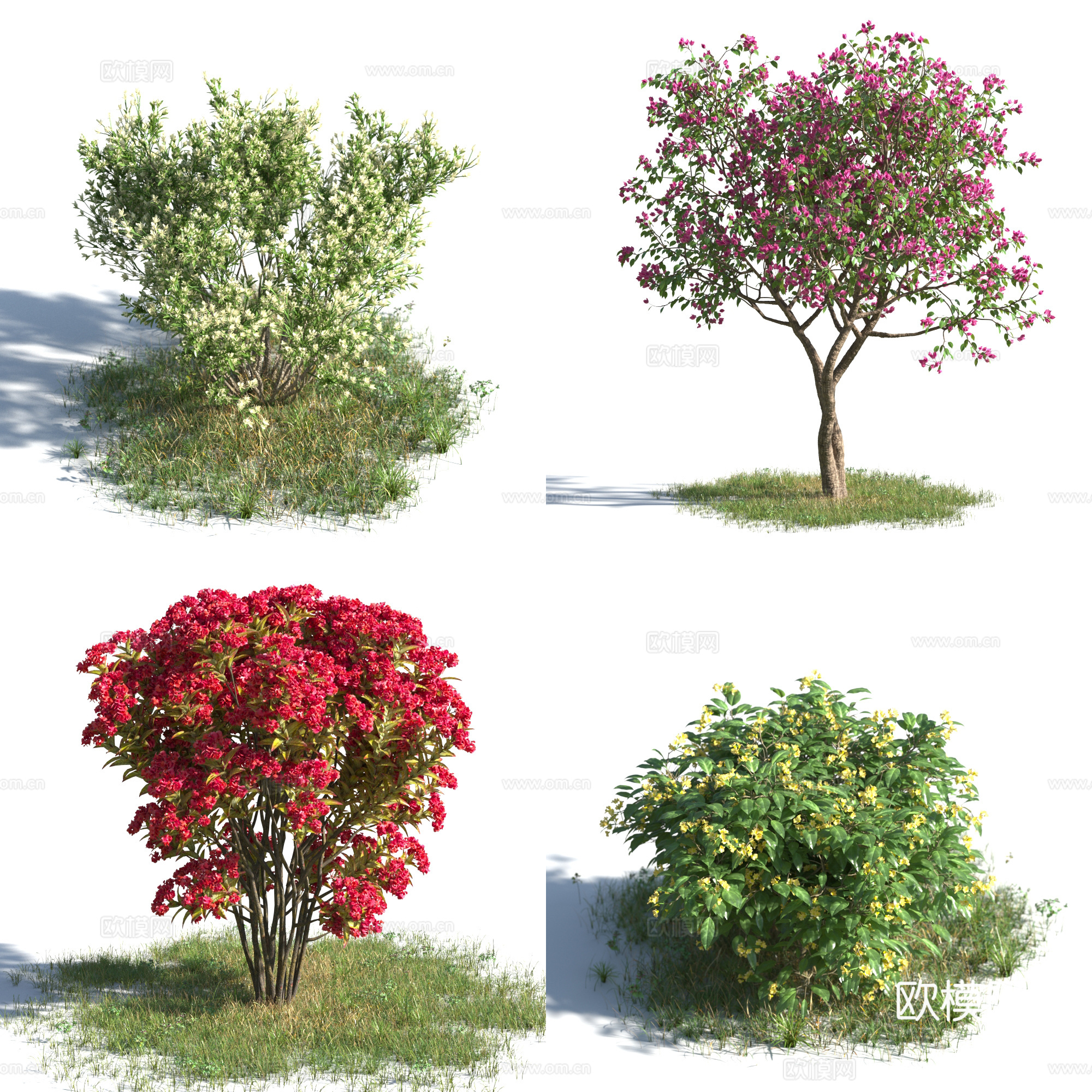 现代灌木 花草 草 花 茶花 紫薇花 绿化 草坪 景观树3d模型
