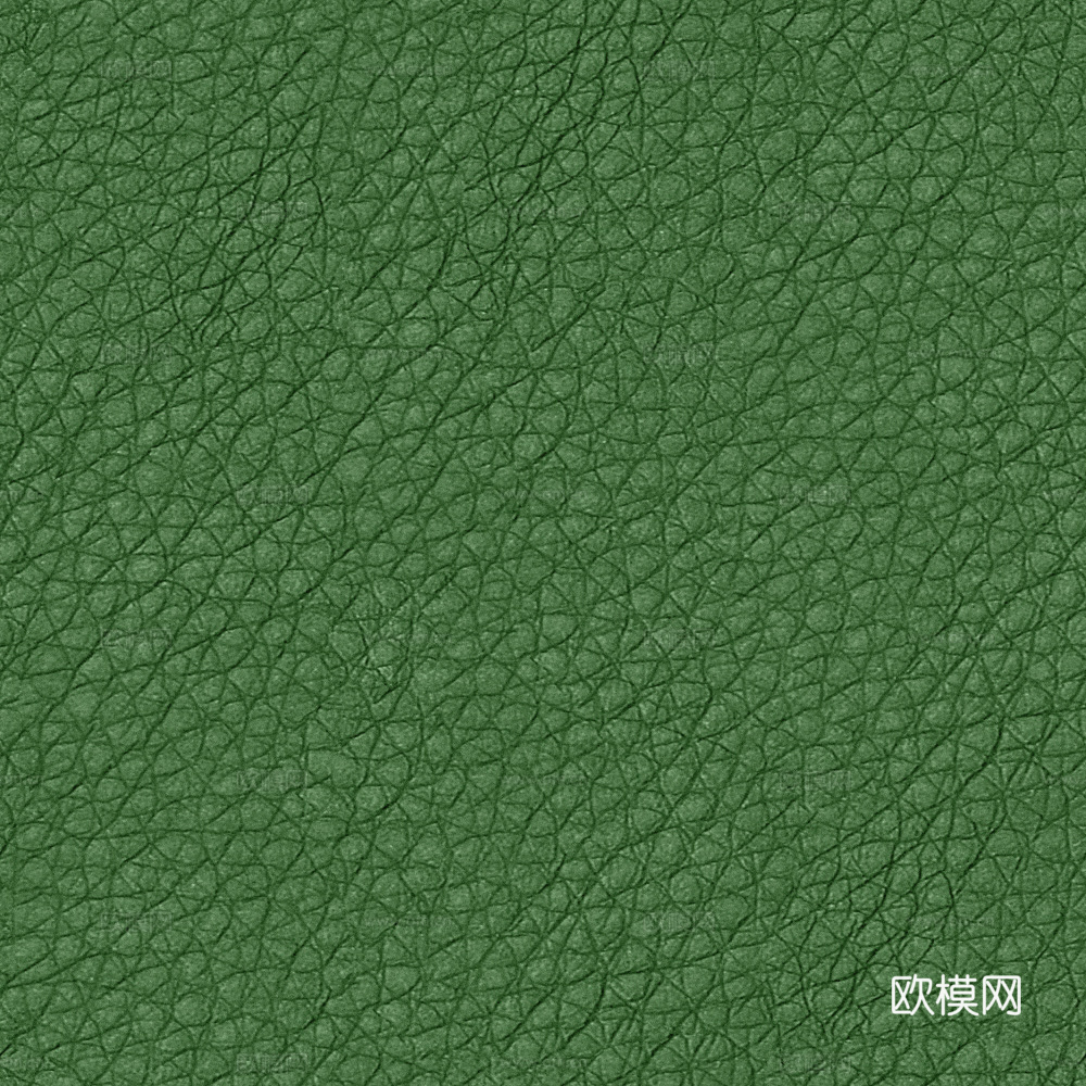 绿色粗纹皮革