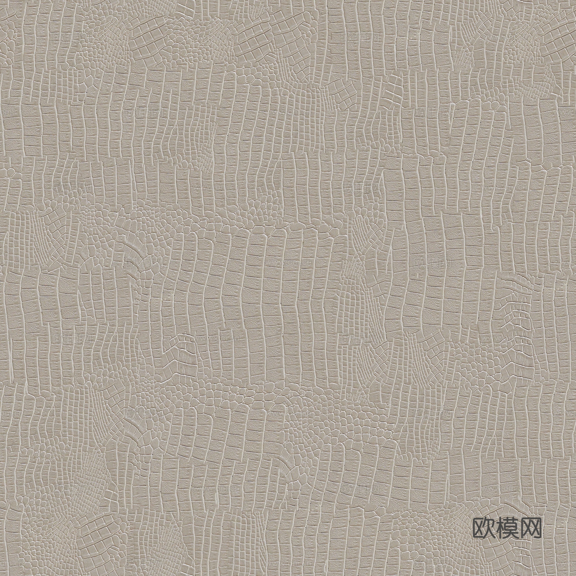 无缝鳄鱼皮纹理贴图